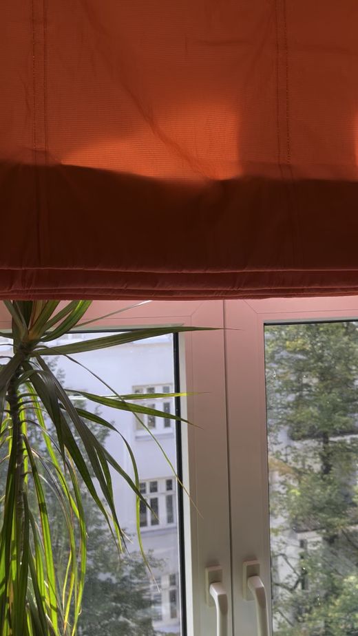 Raffrollo am Fenster mit Pflanze