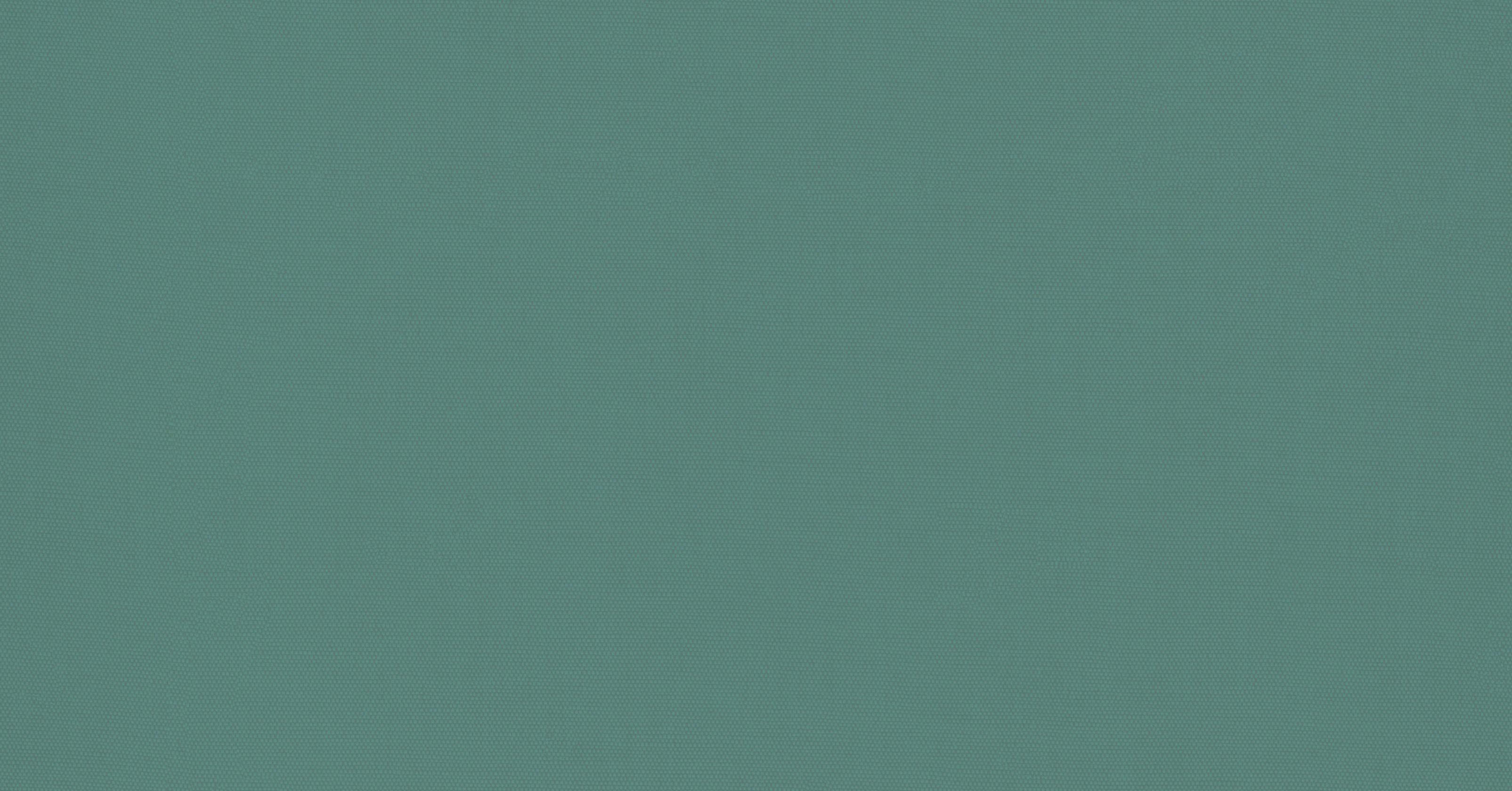 Lin Froisse - vert de la mer