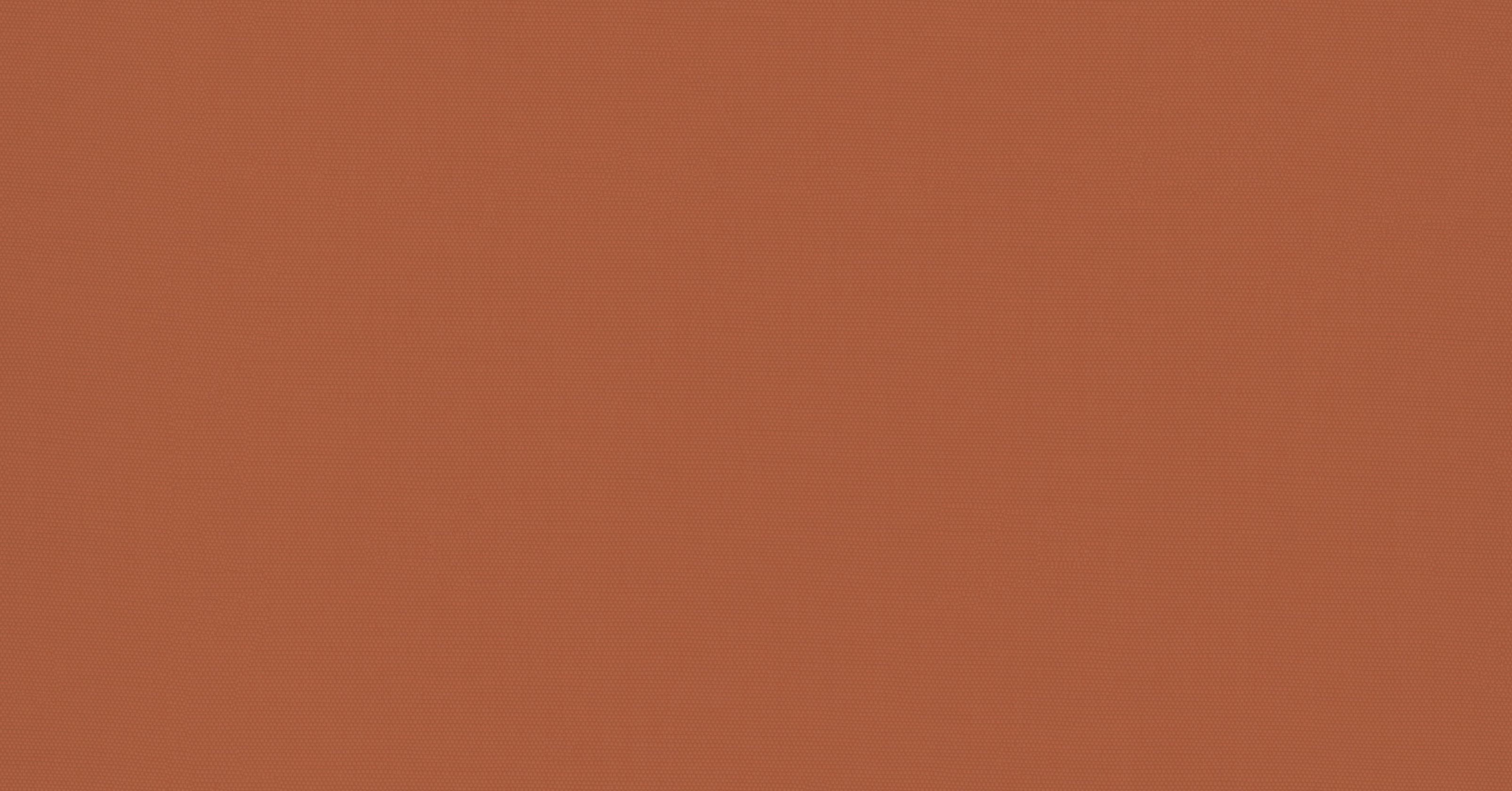 Lin Froisse - brun de sienne