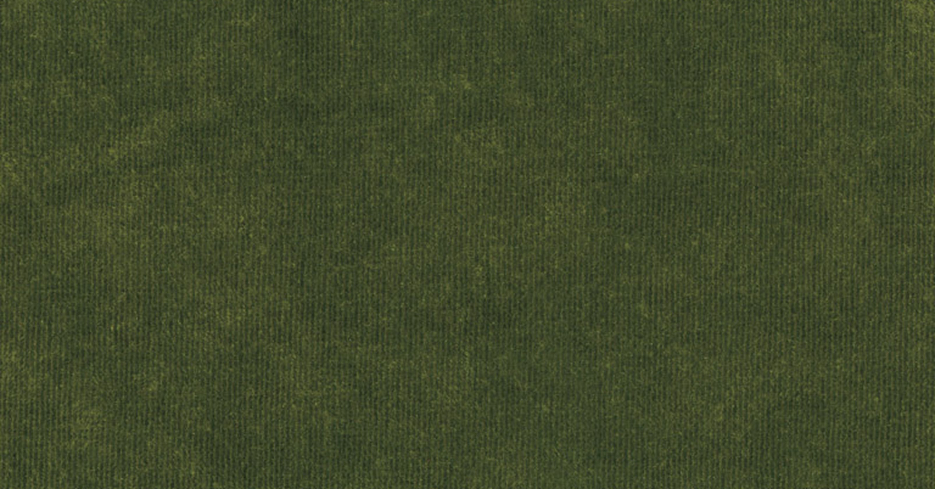 Velours Decontracte - olive