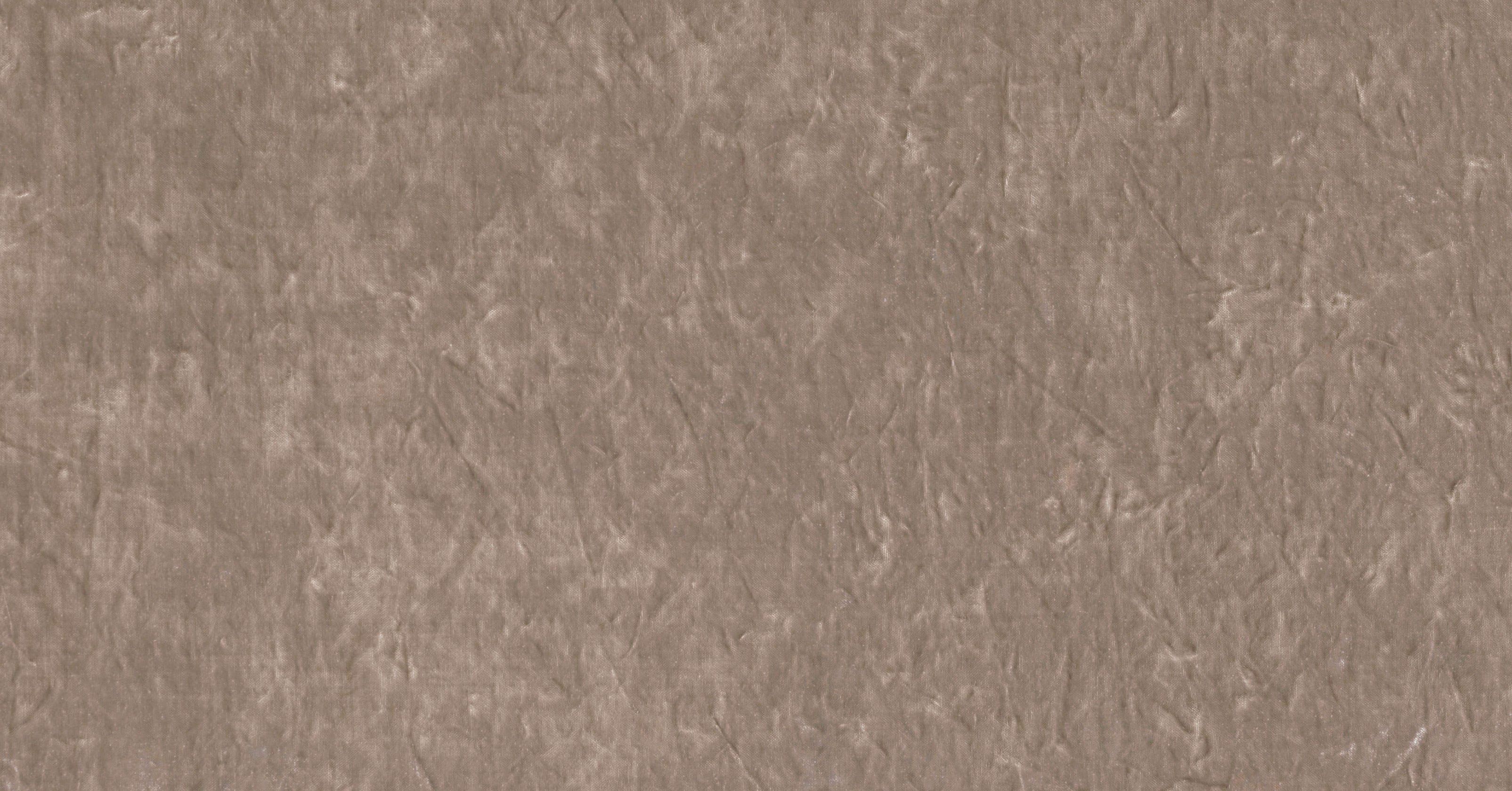 Constellation - fossil