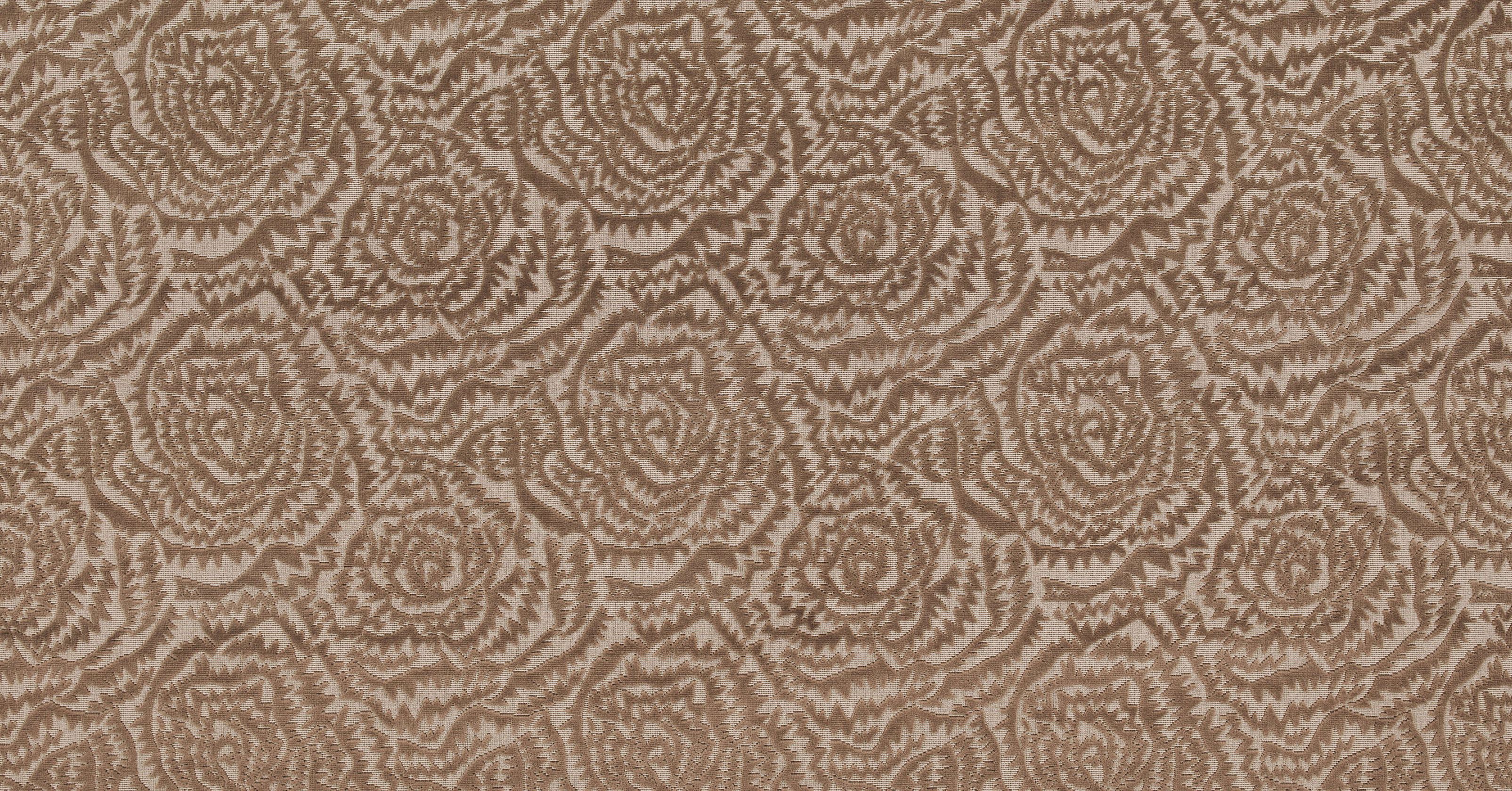 Jagged Roses - blossom