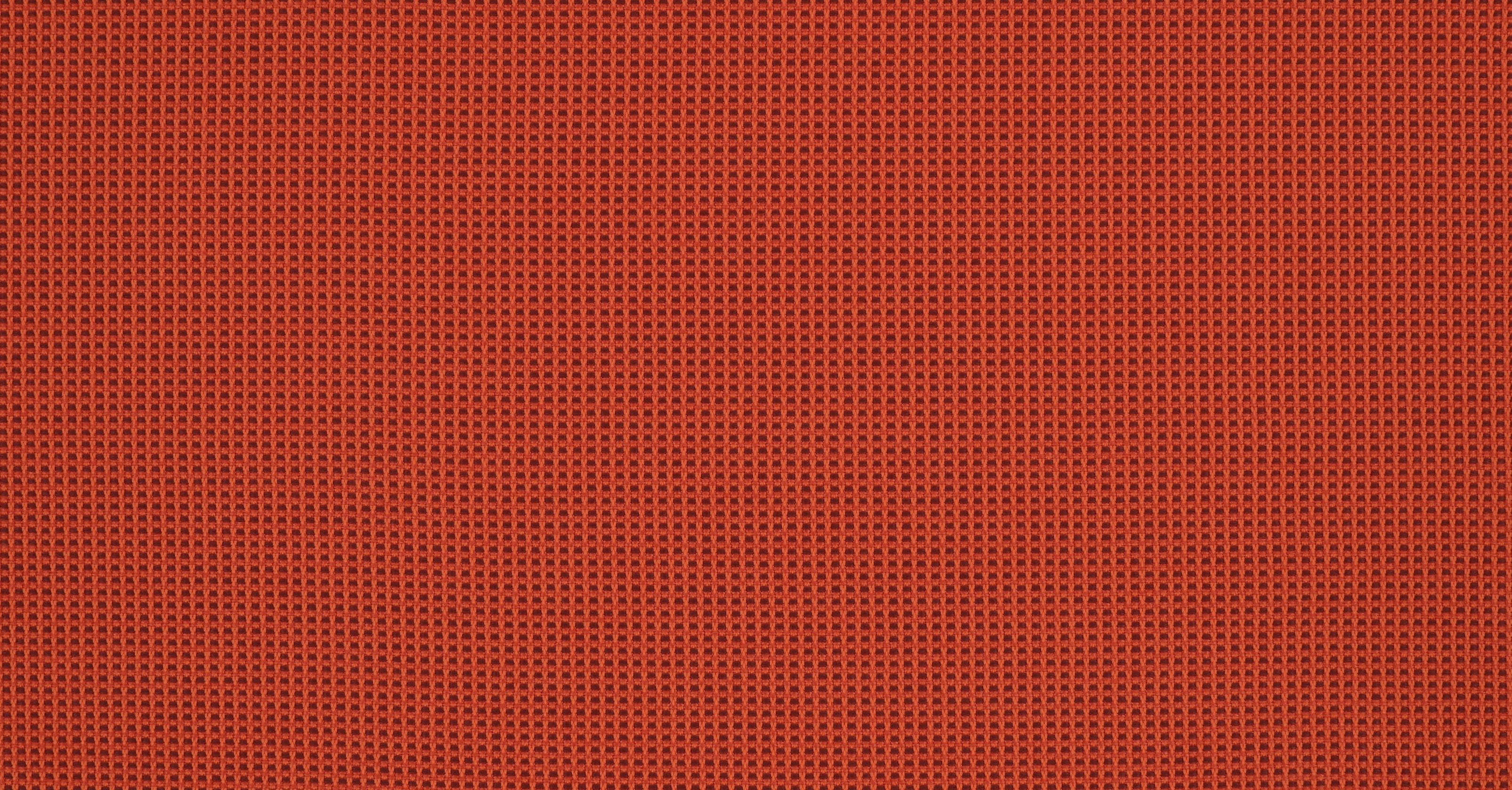 Picnic - Blood Orange