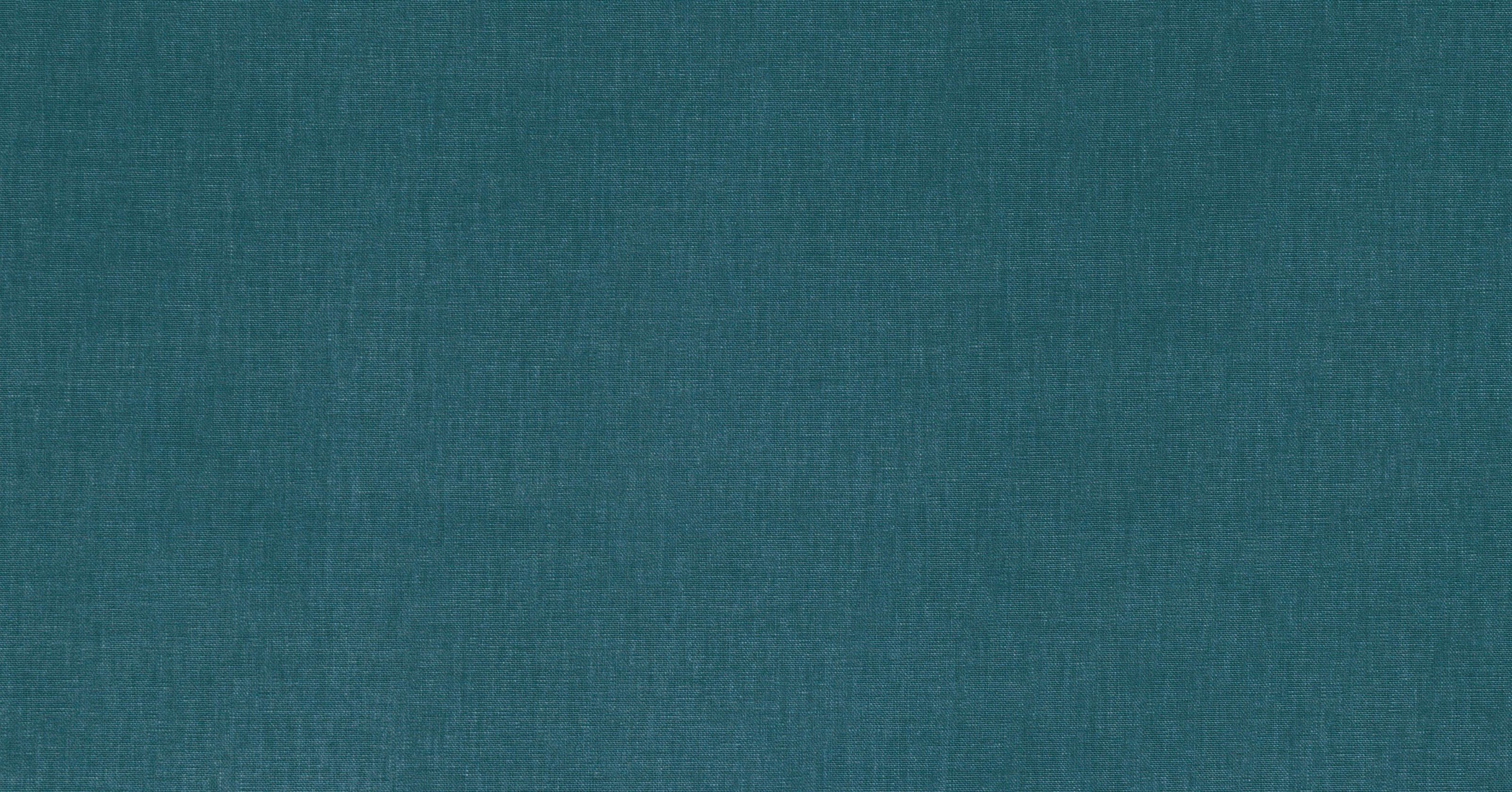 Sahara 3 - dragonfly