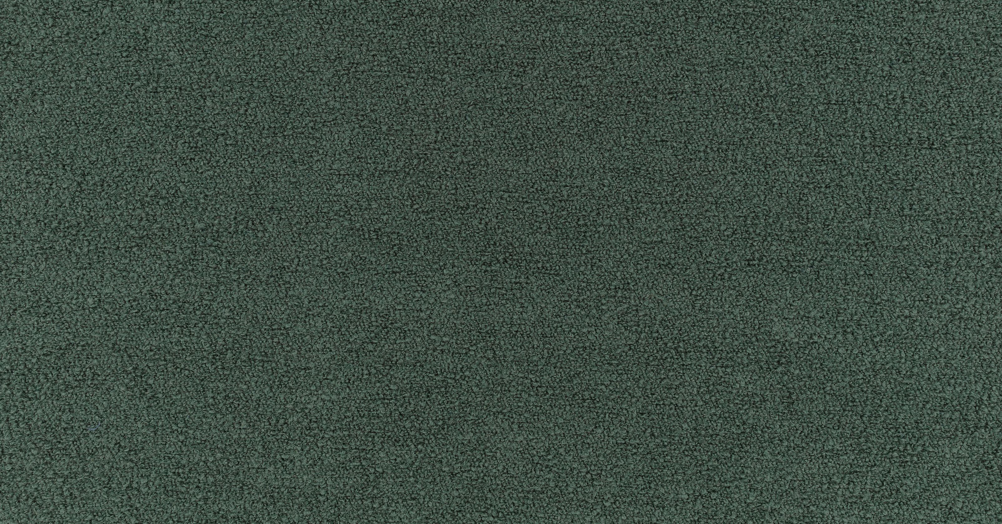 Teddy Fr - evergreen