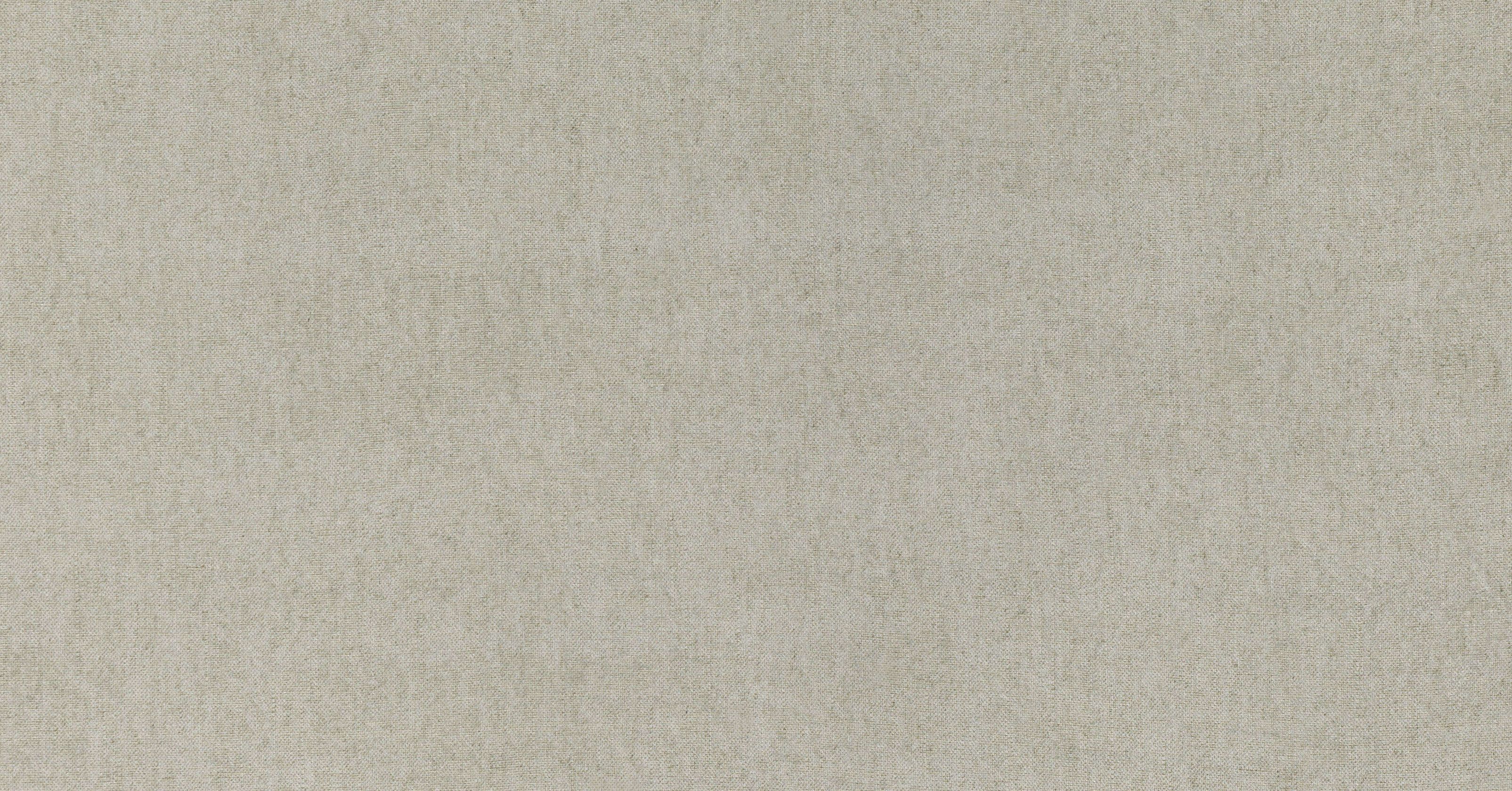 Spirit - silverbirch