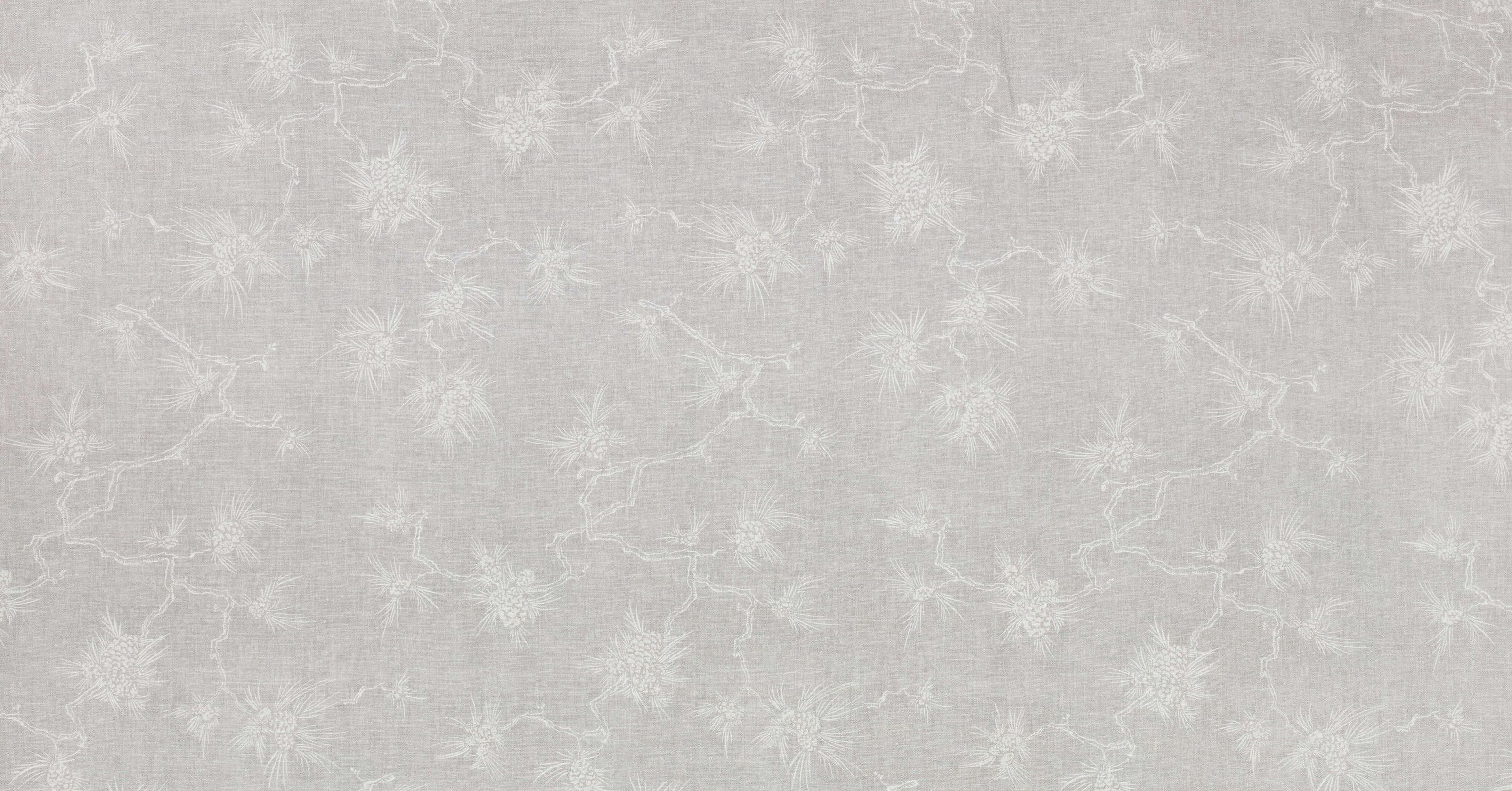 Bonsai - silverbirch