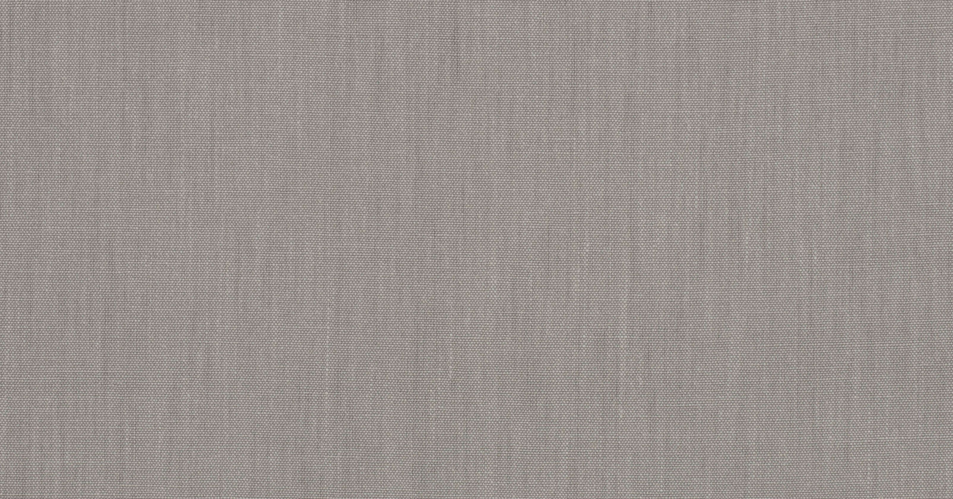 Retro - silver birch