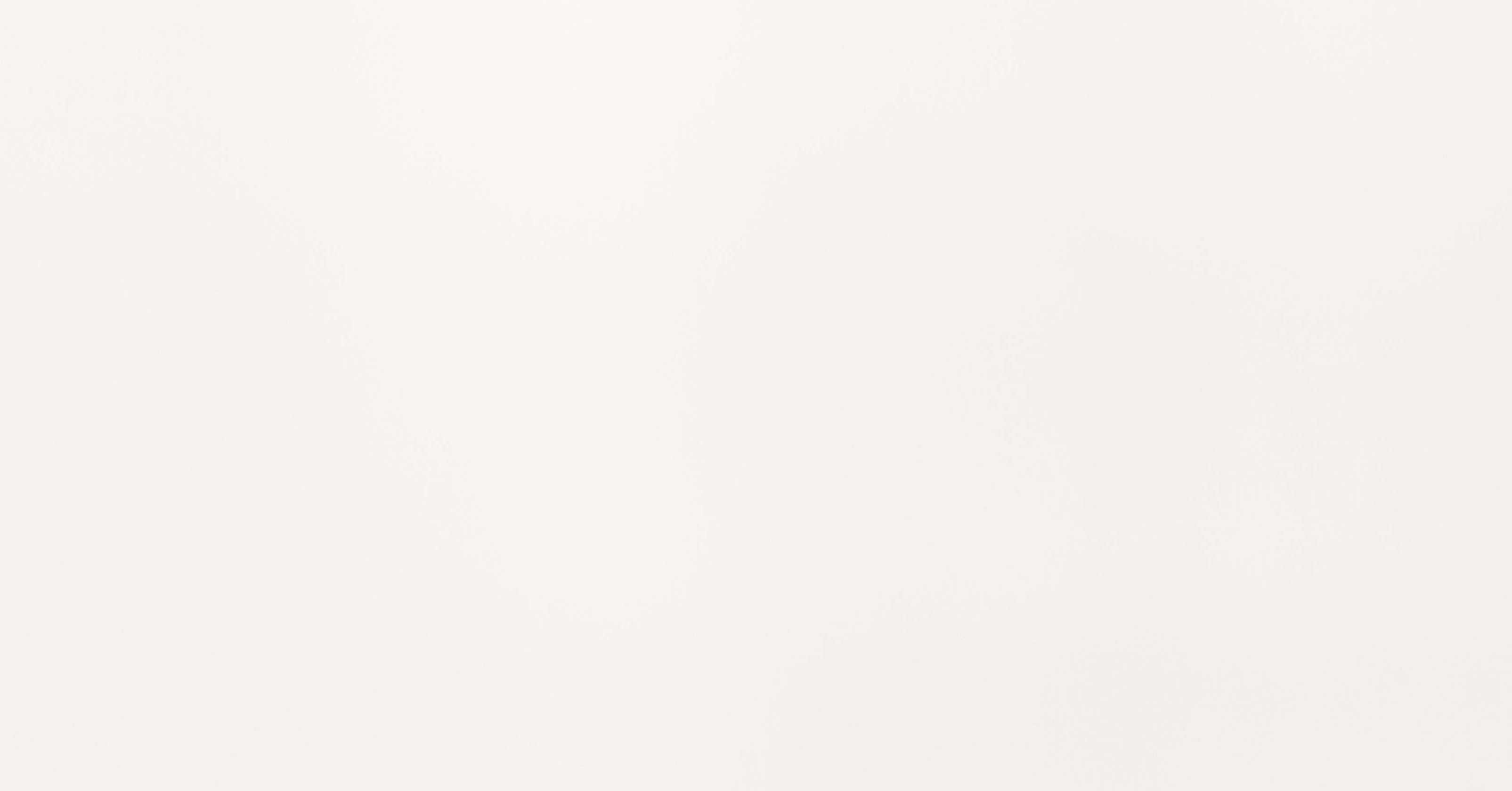 Lexington - silverbirch