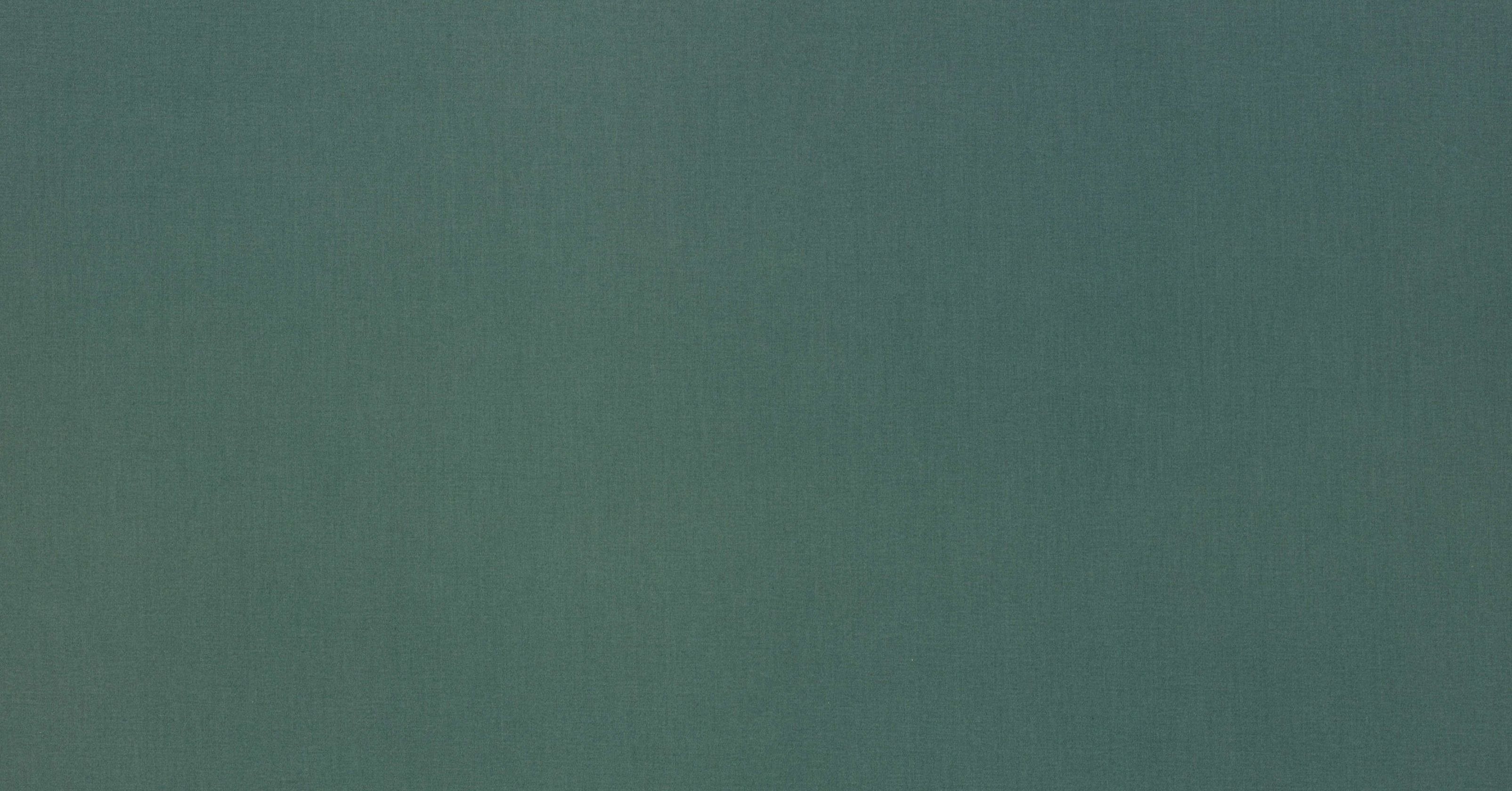 Lexington - evergreen