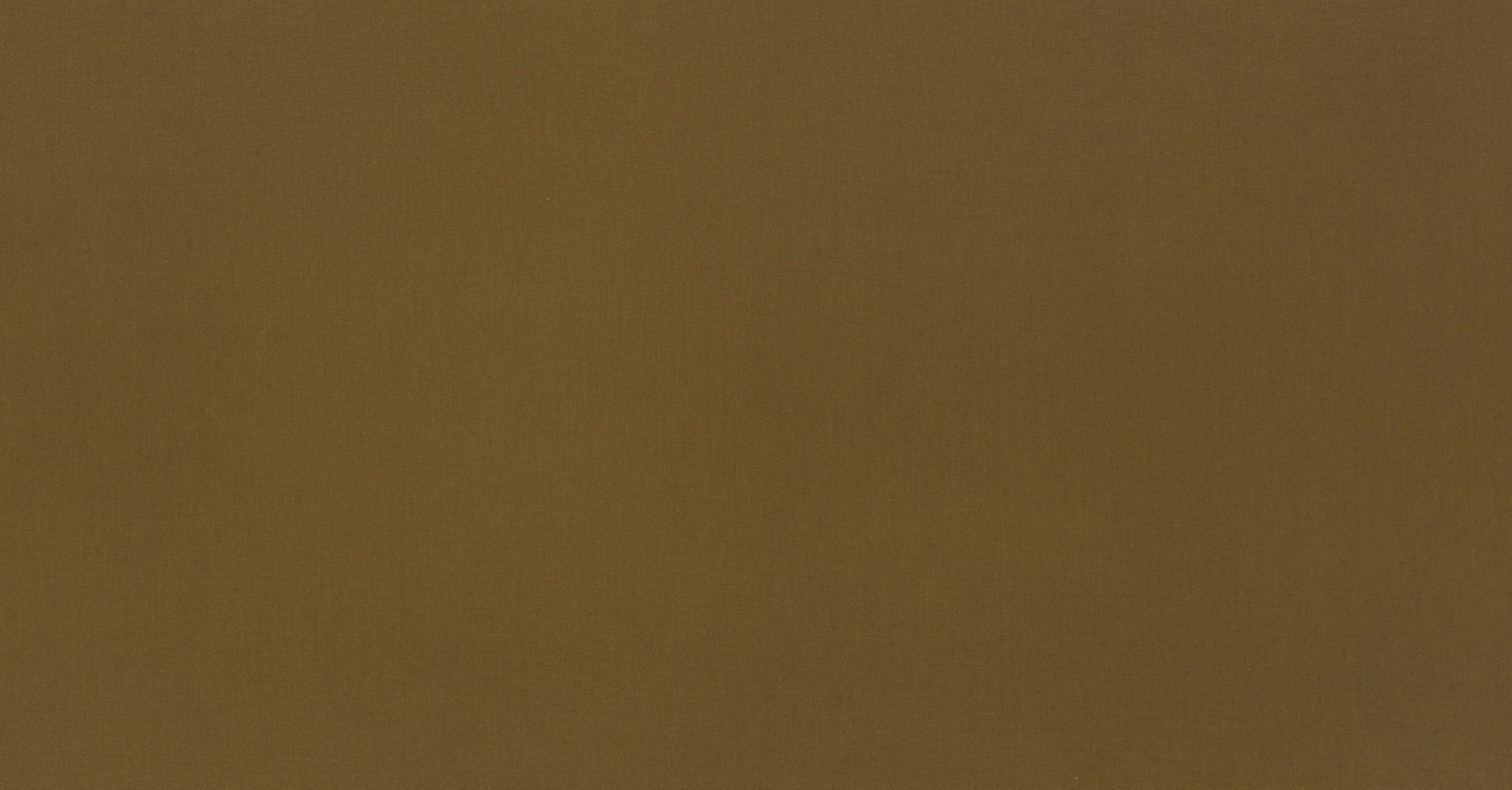 Lexington - desert palm