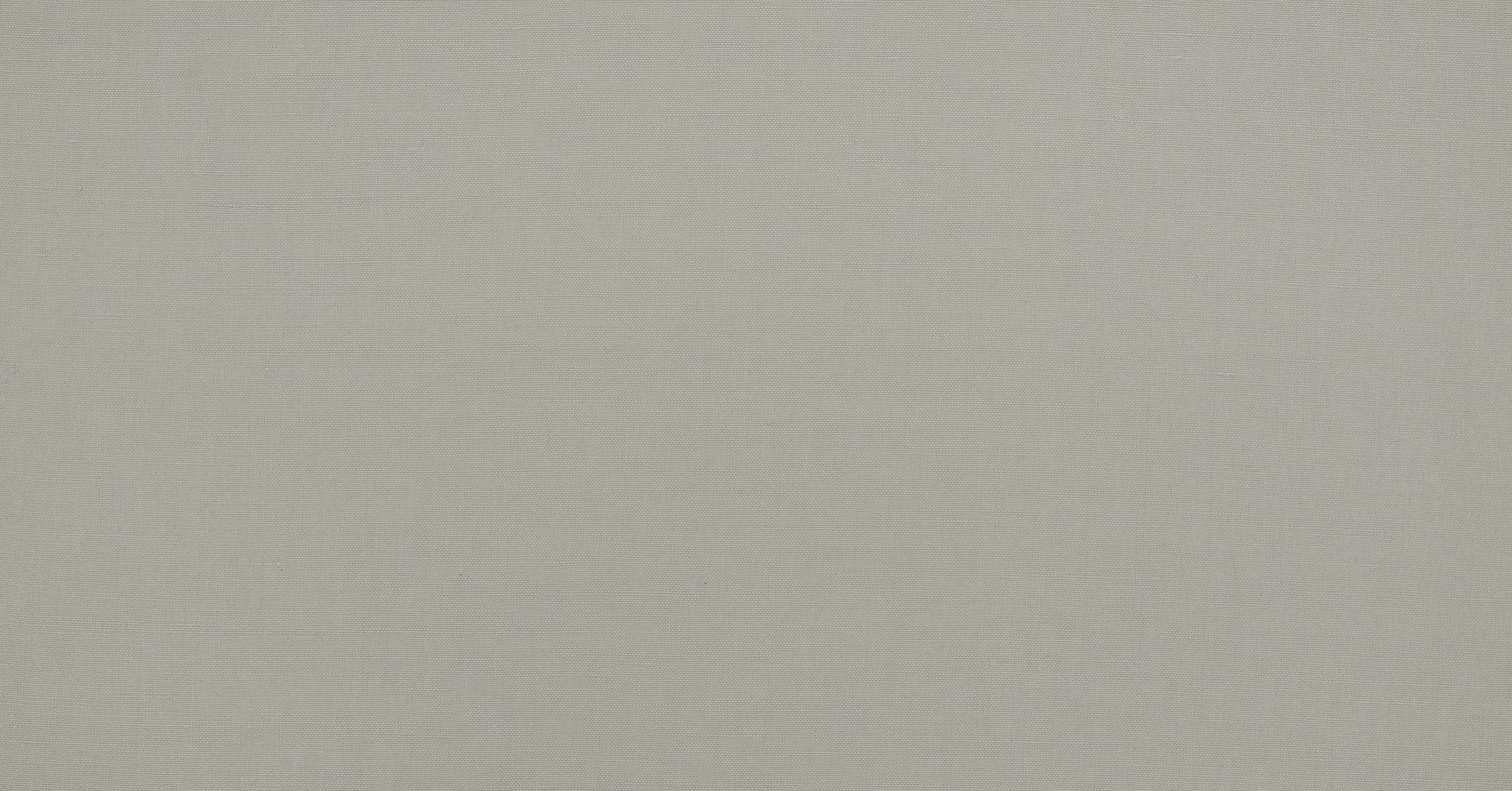 Flanders - silverbirch