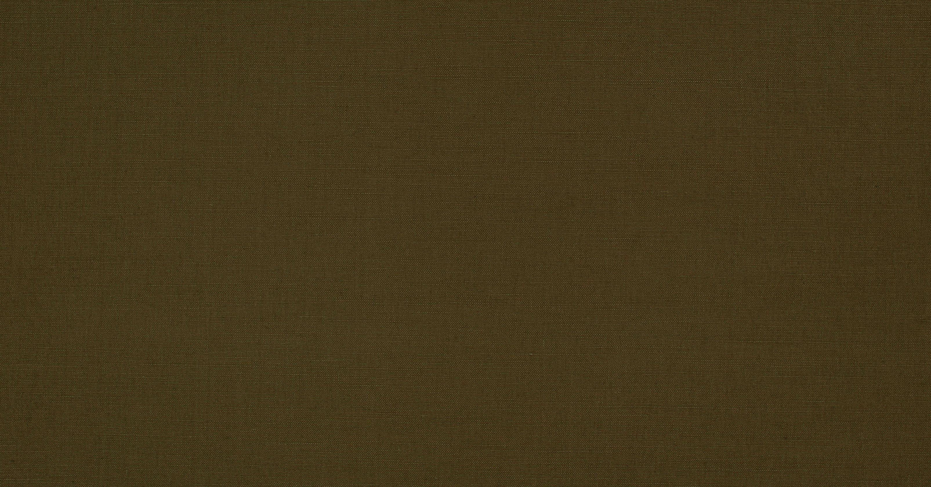 Flanders - desert palm