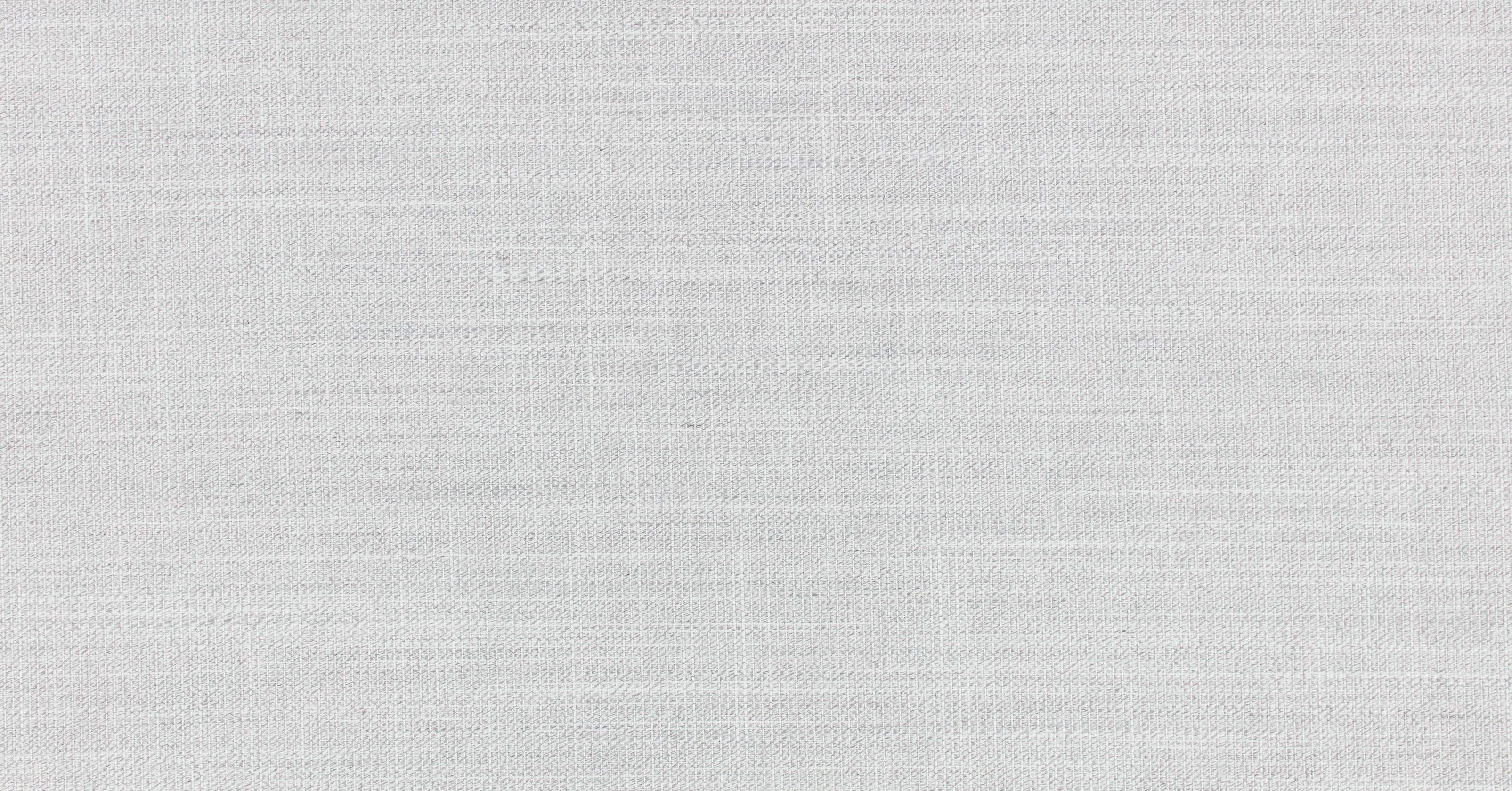 Veranda Canvas - silverbirch
