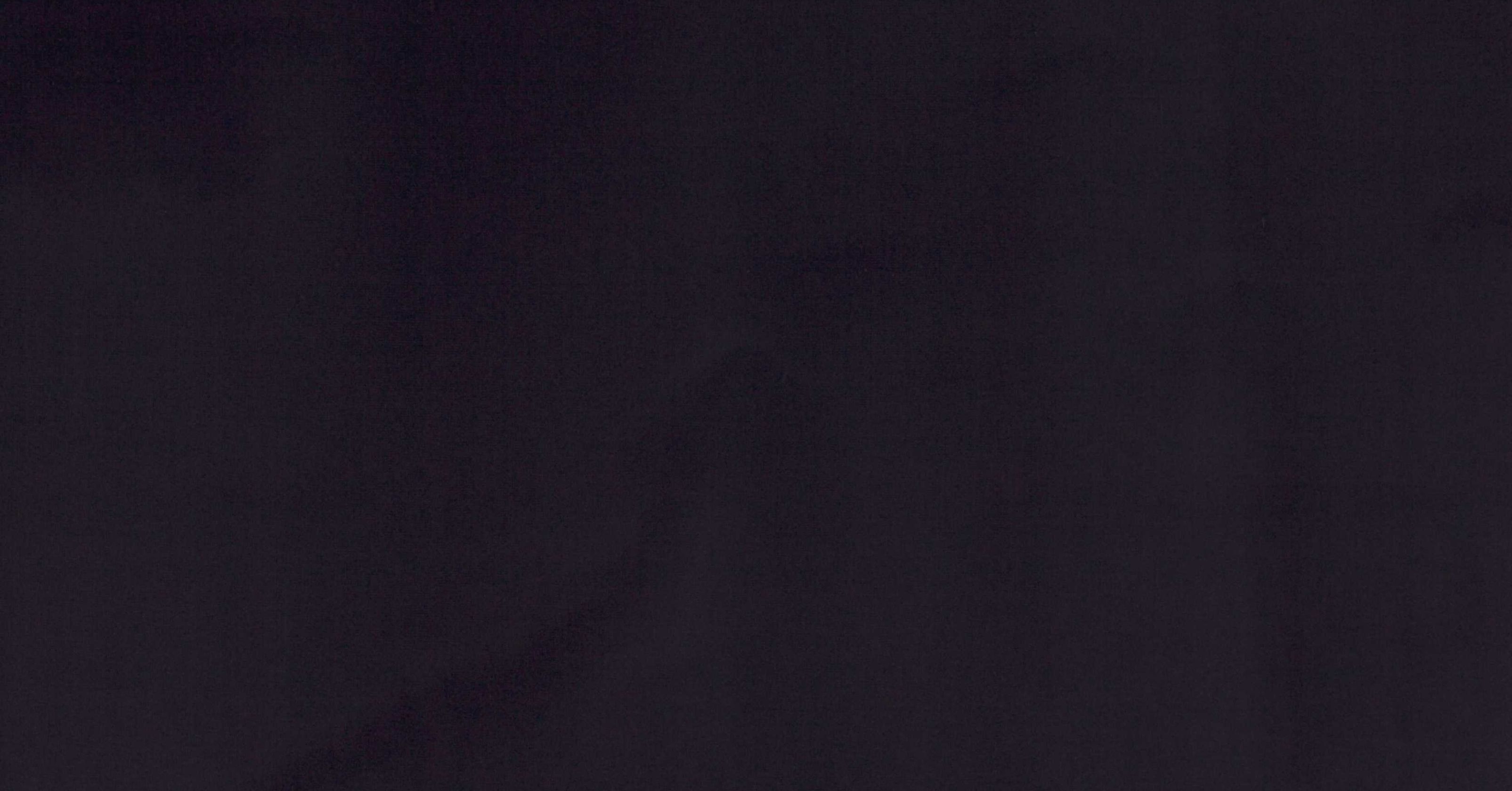 Forenza - blackberry