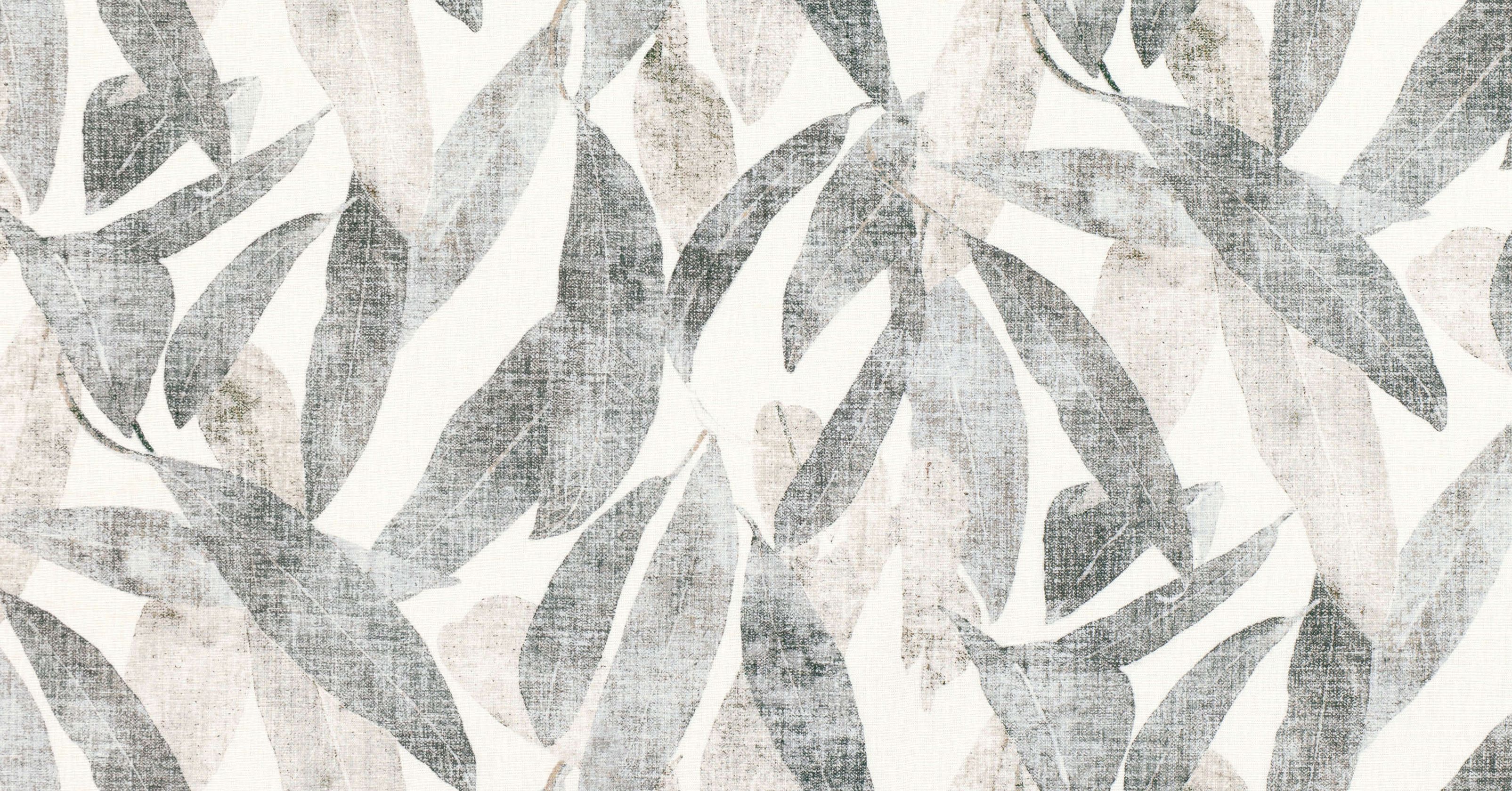 Arboretum - eucalyptus