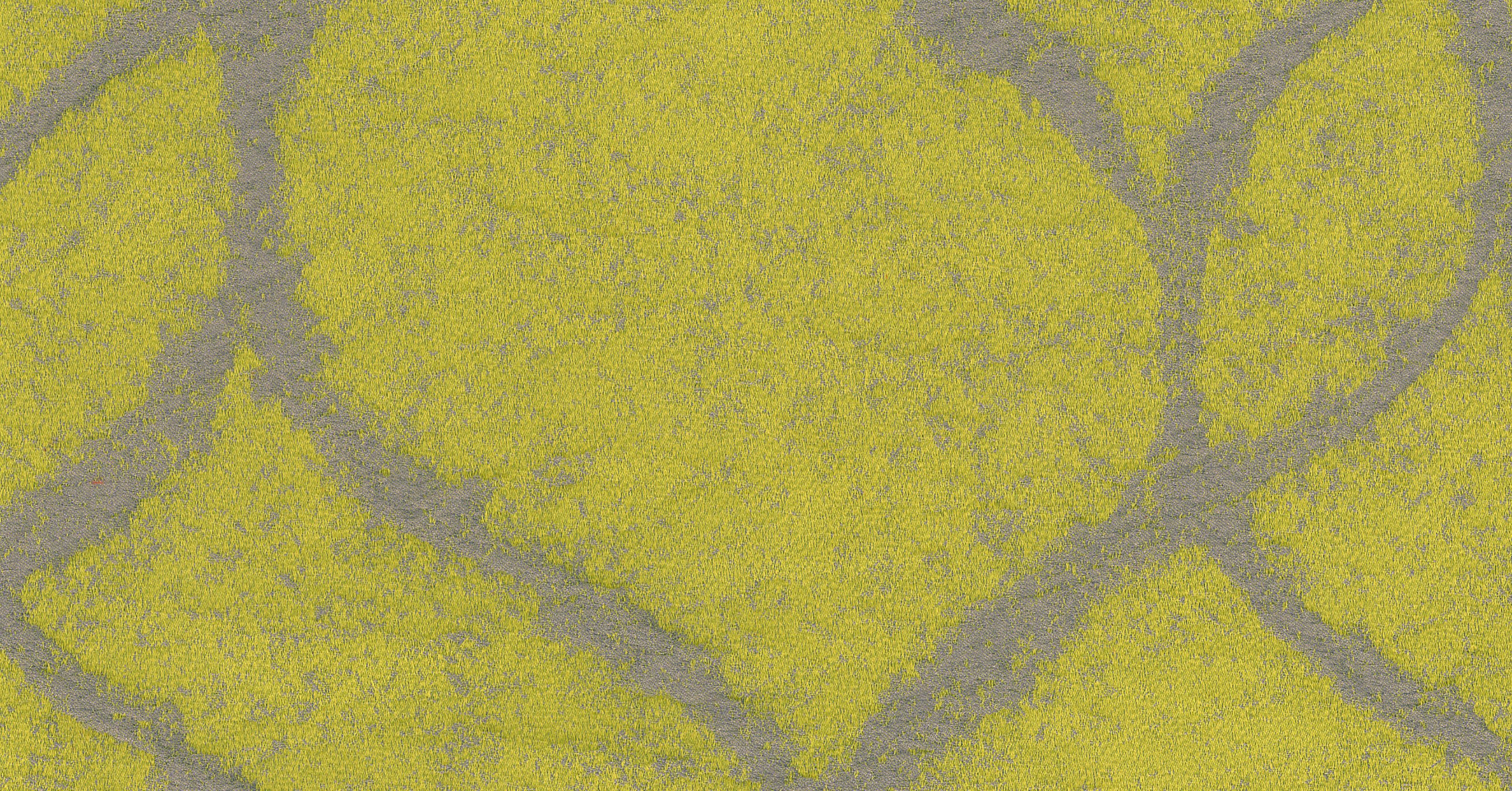 Cristobal - chartreuse