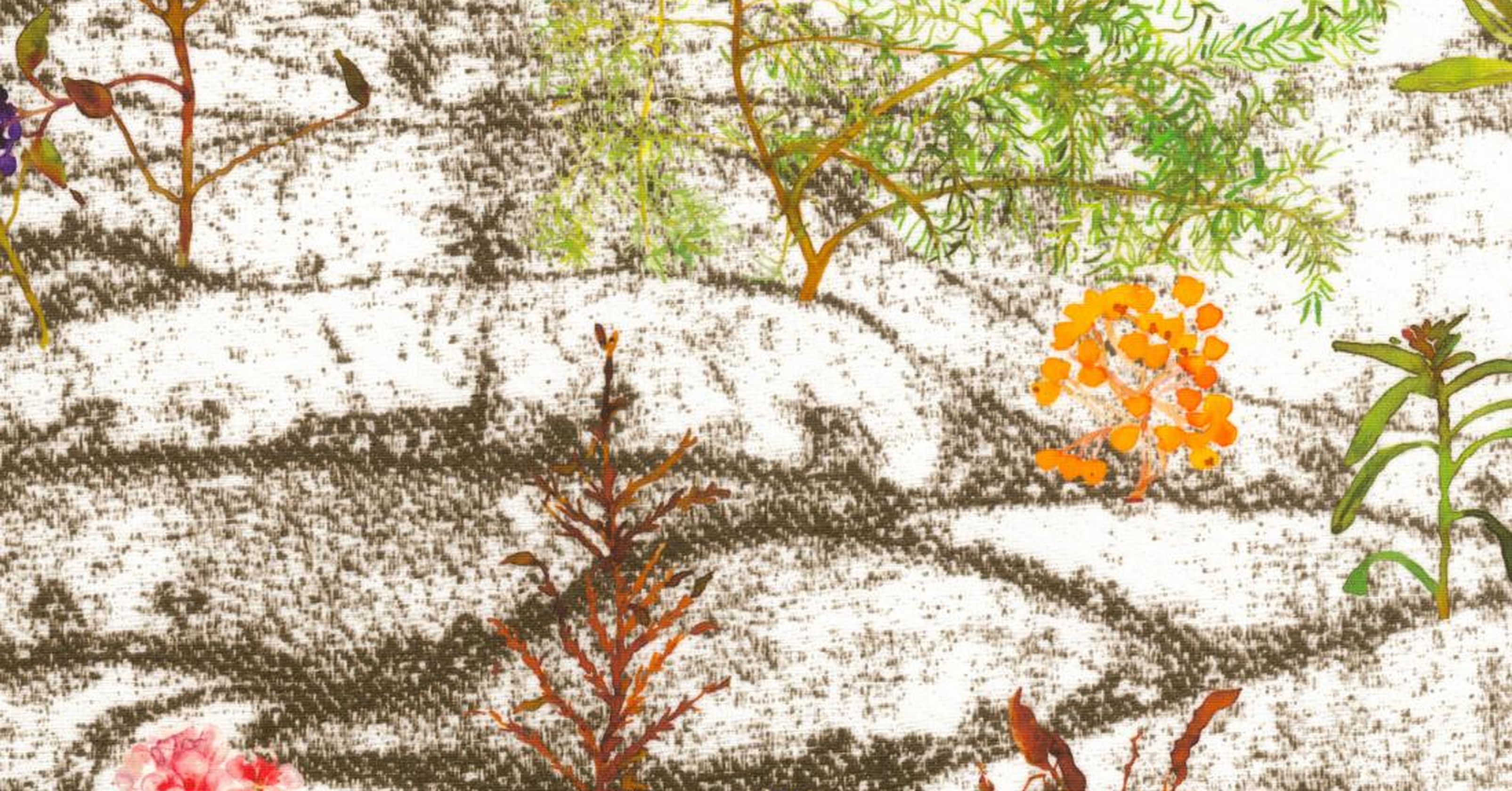 Derbyshire Spring - sepia