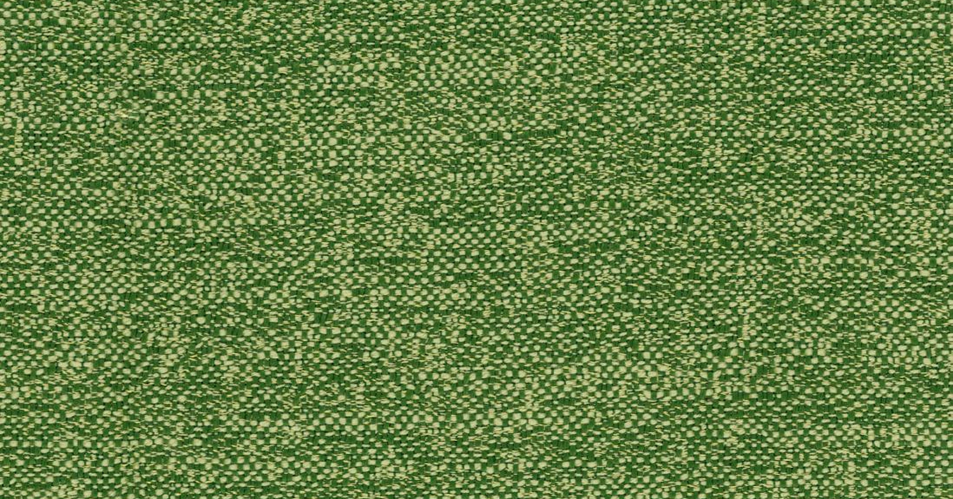 Fabthirty Plus - pino