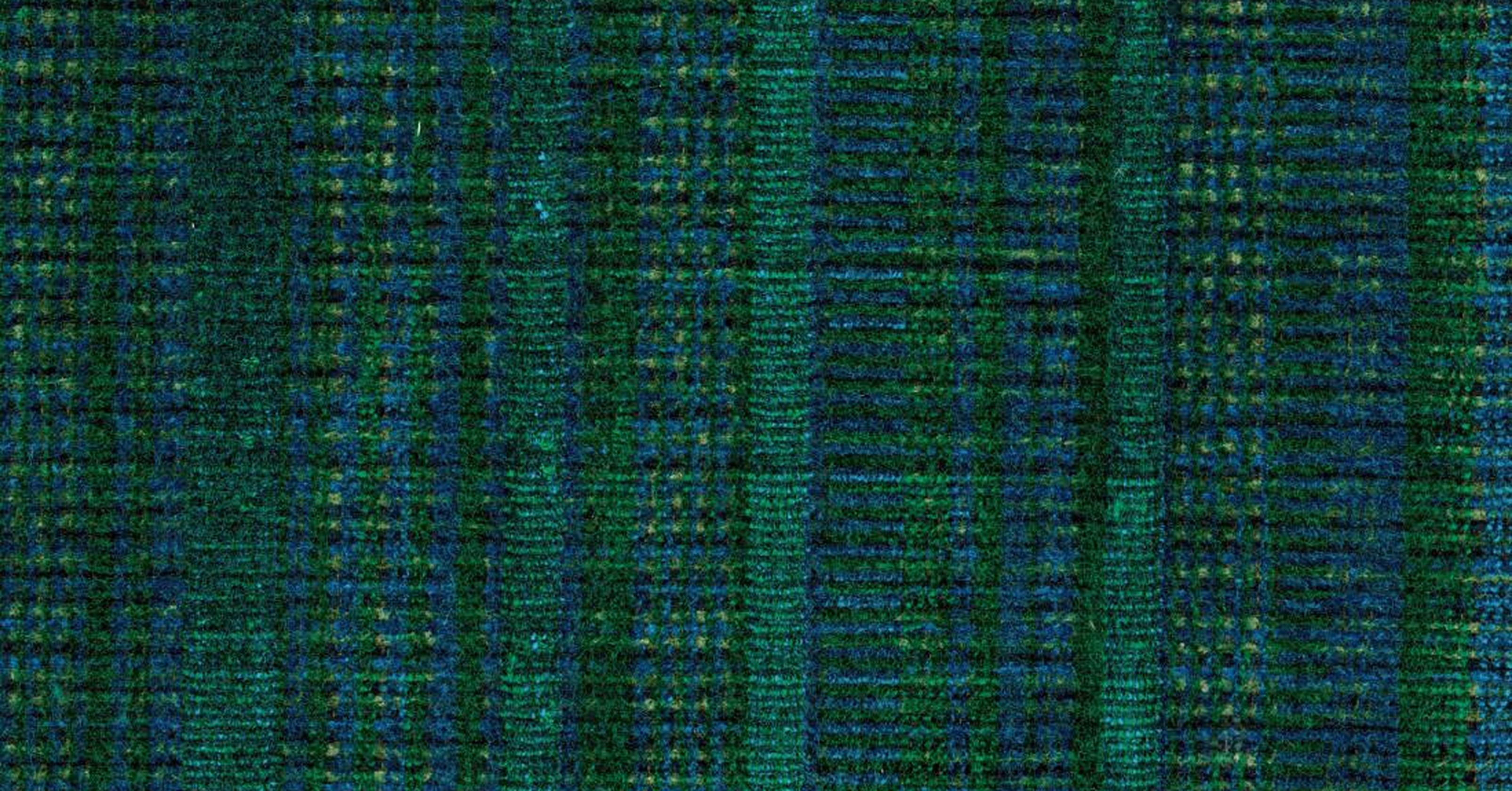 Fifth Avenue - pavone