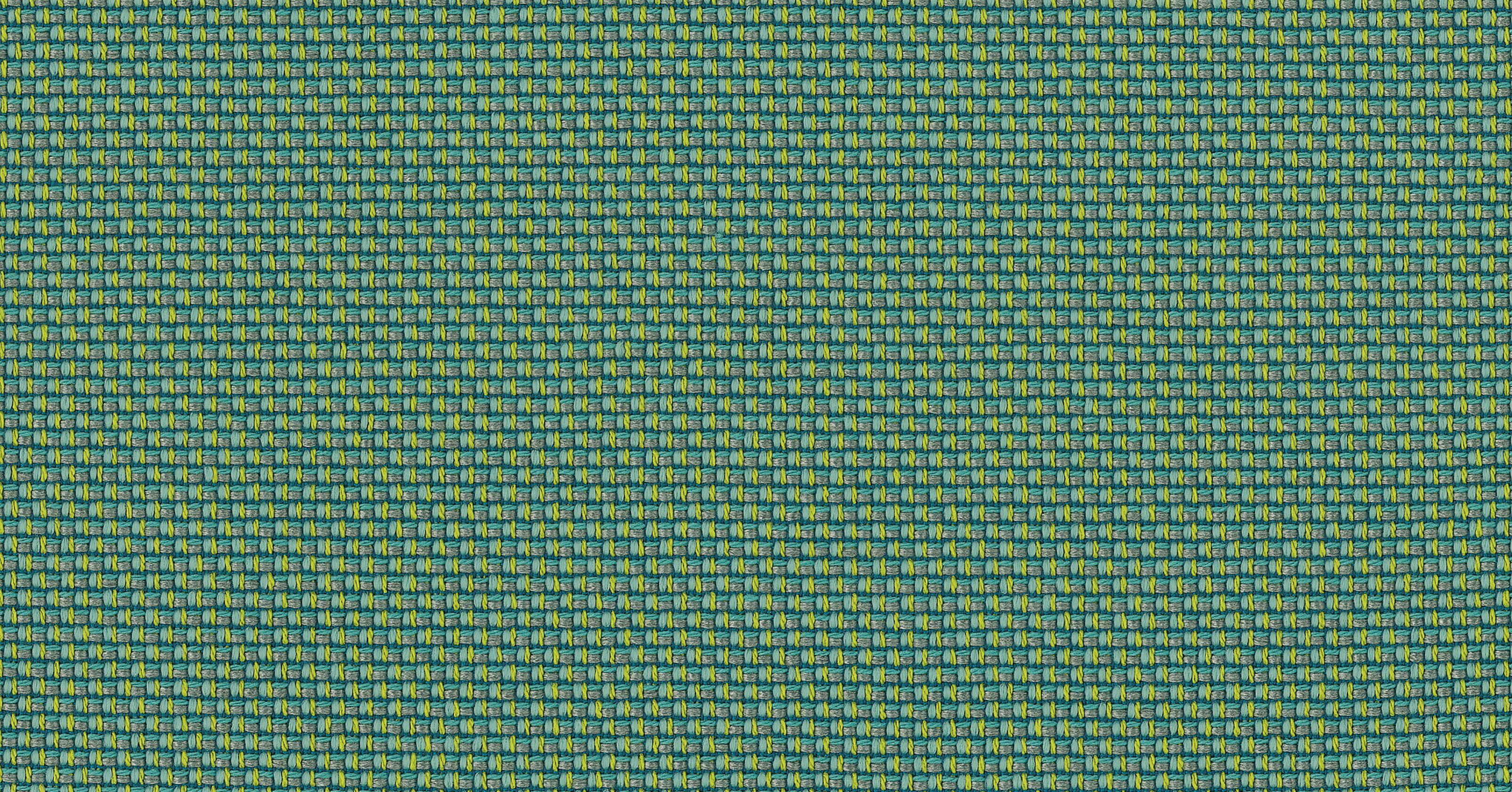 Intreccio - assenzio