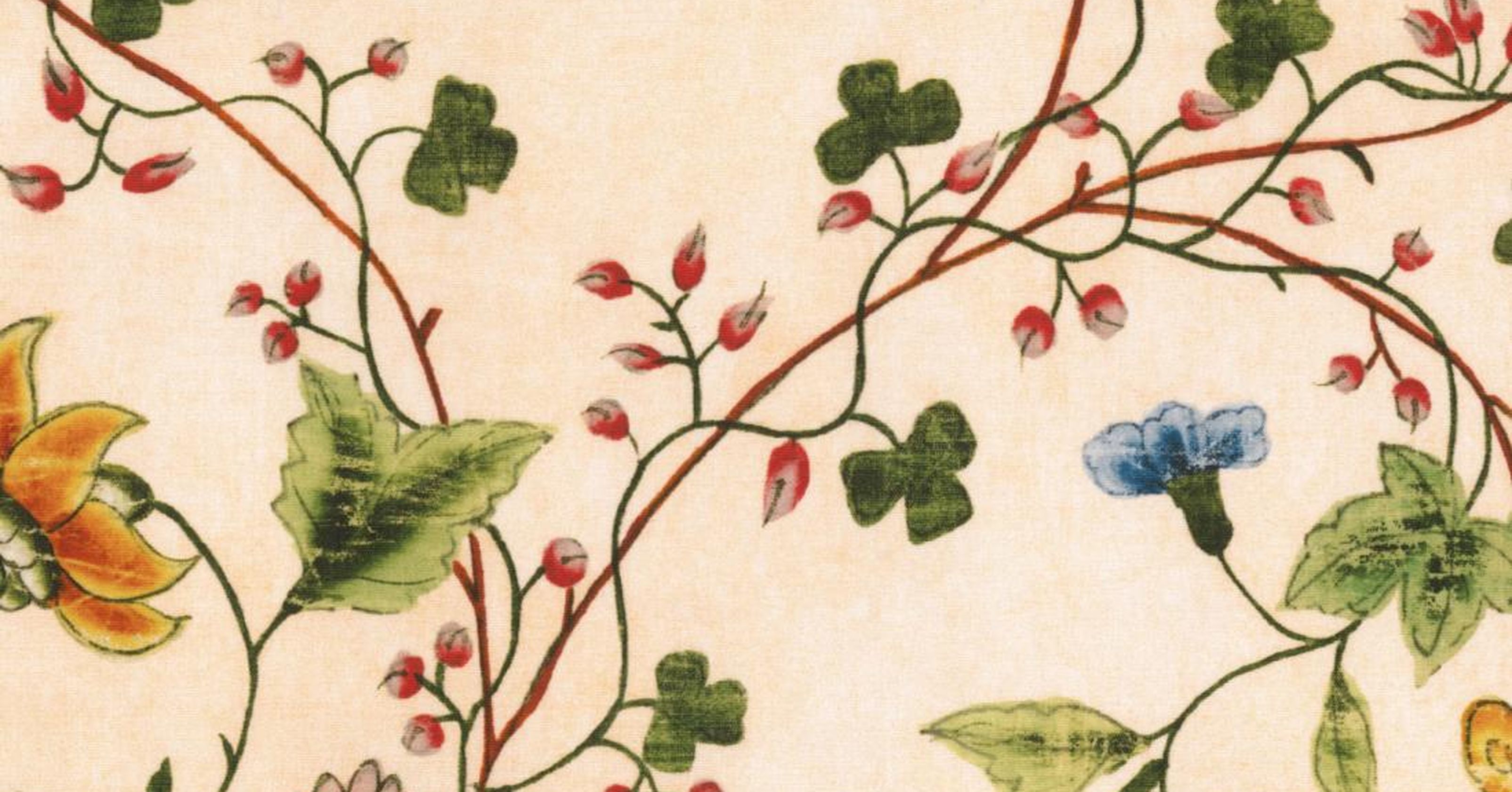 Lady Bloom - albicocca