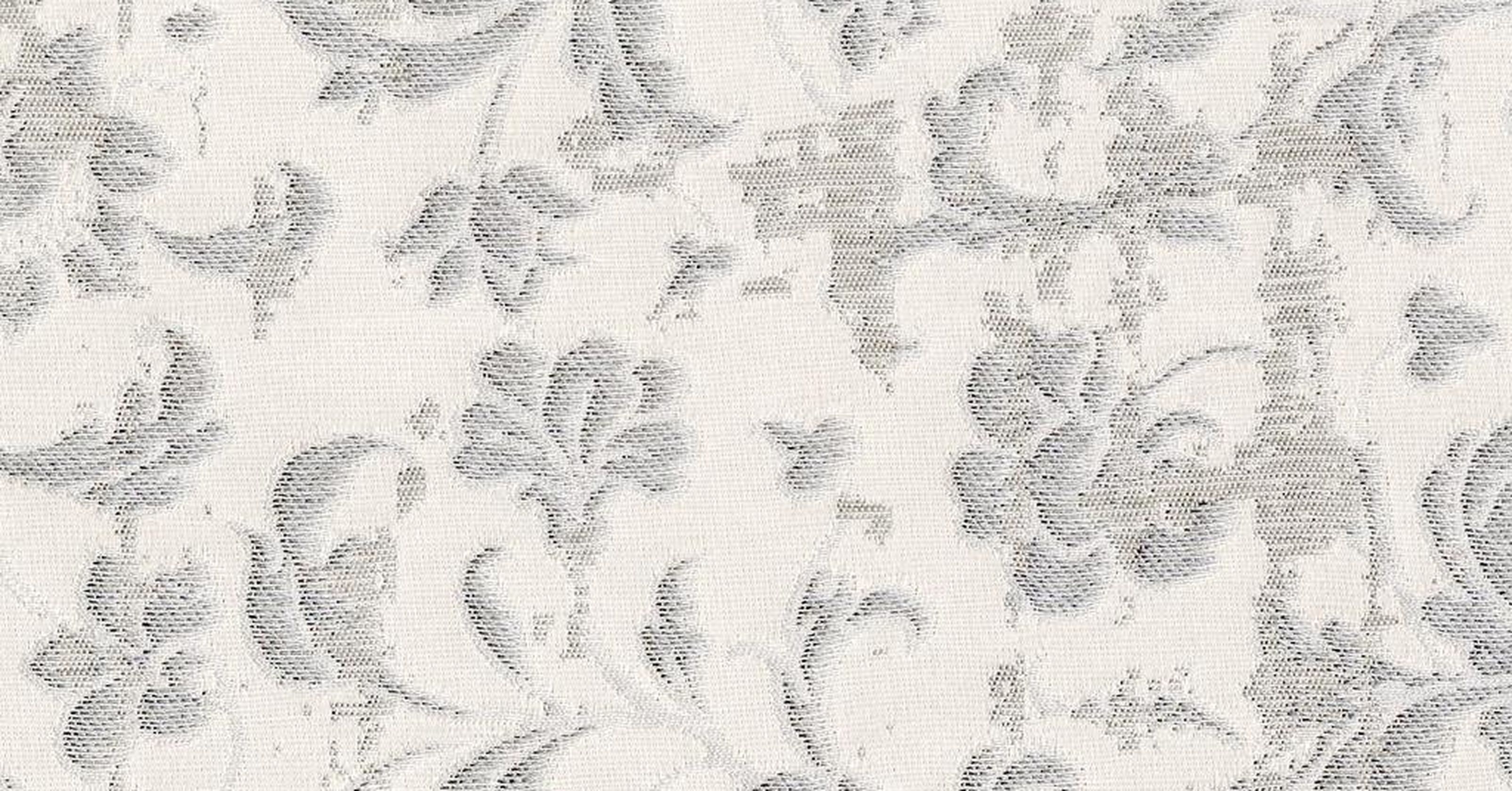 Les Indes Galantes - argento