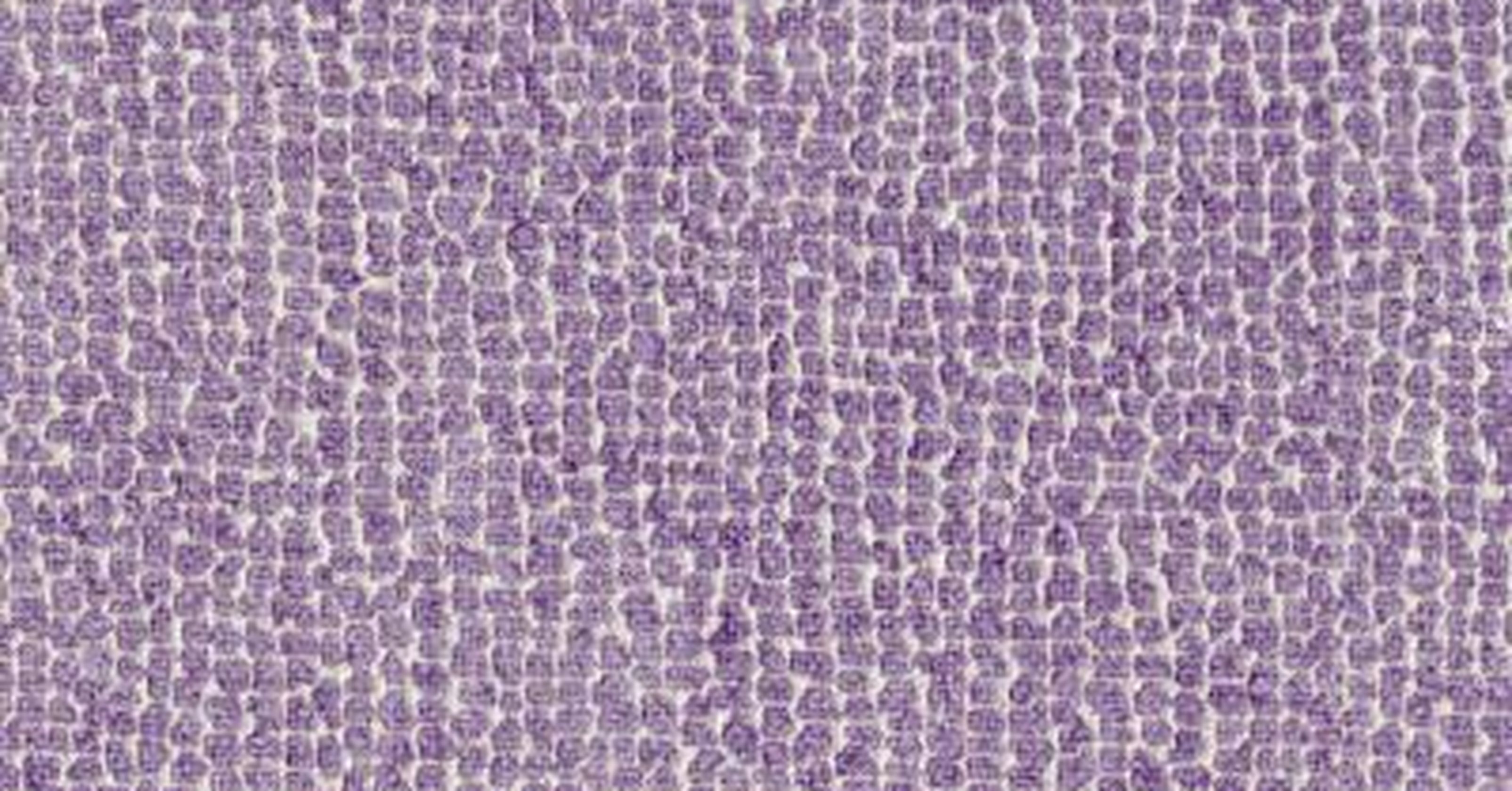 Sun Bear - azalea reversible