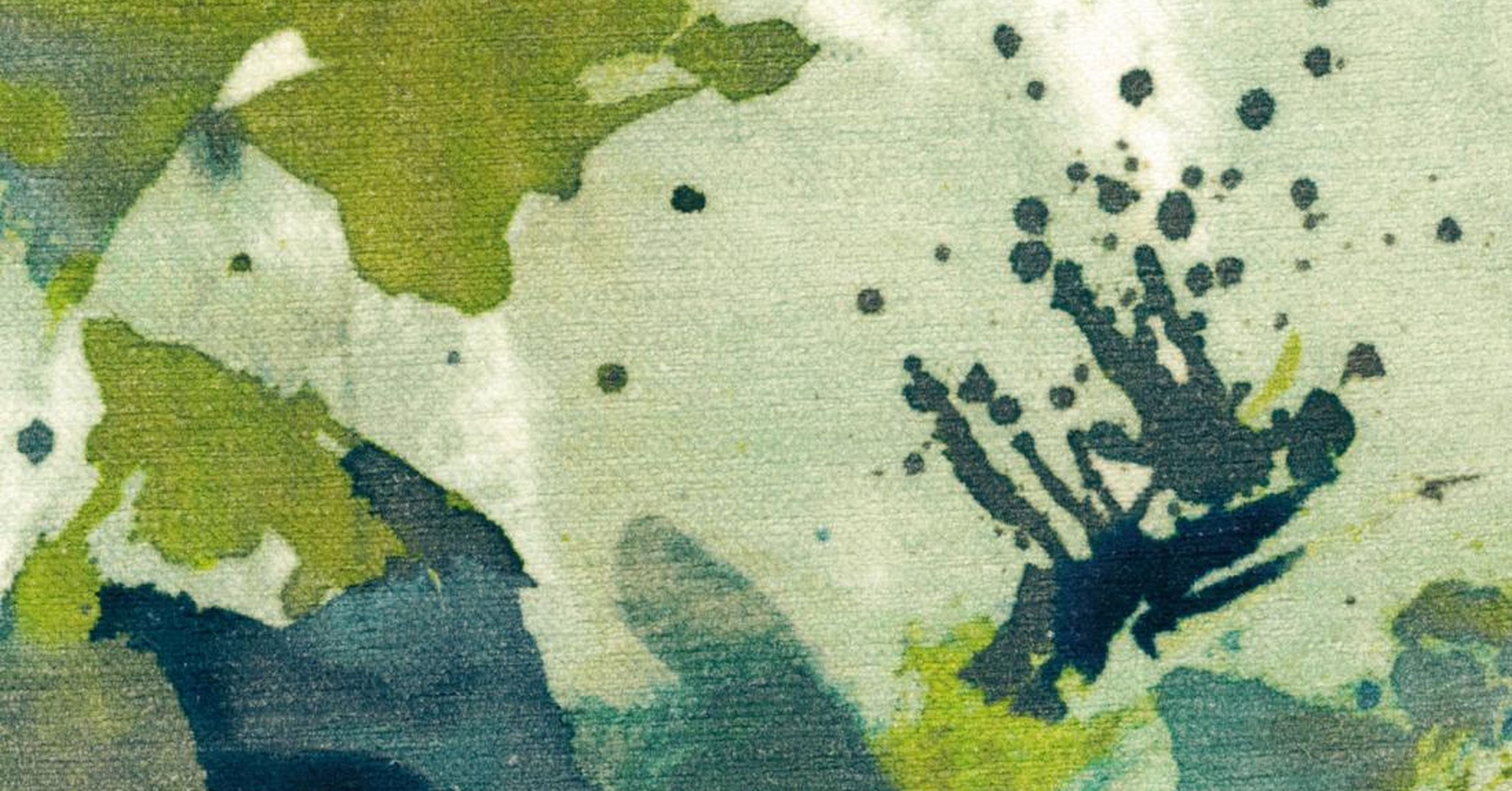 Monet - alga inchiostro