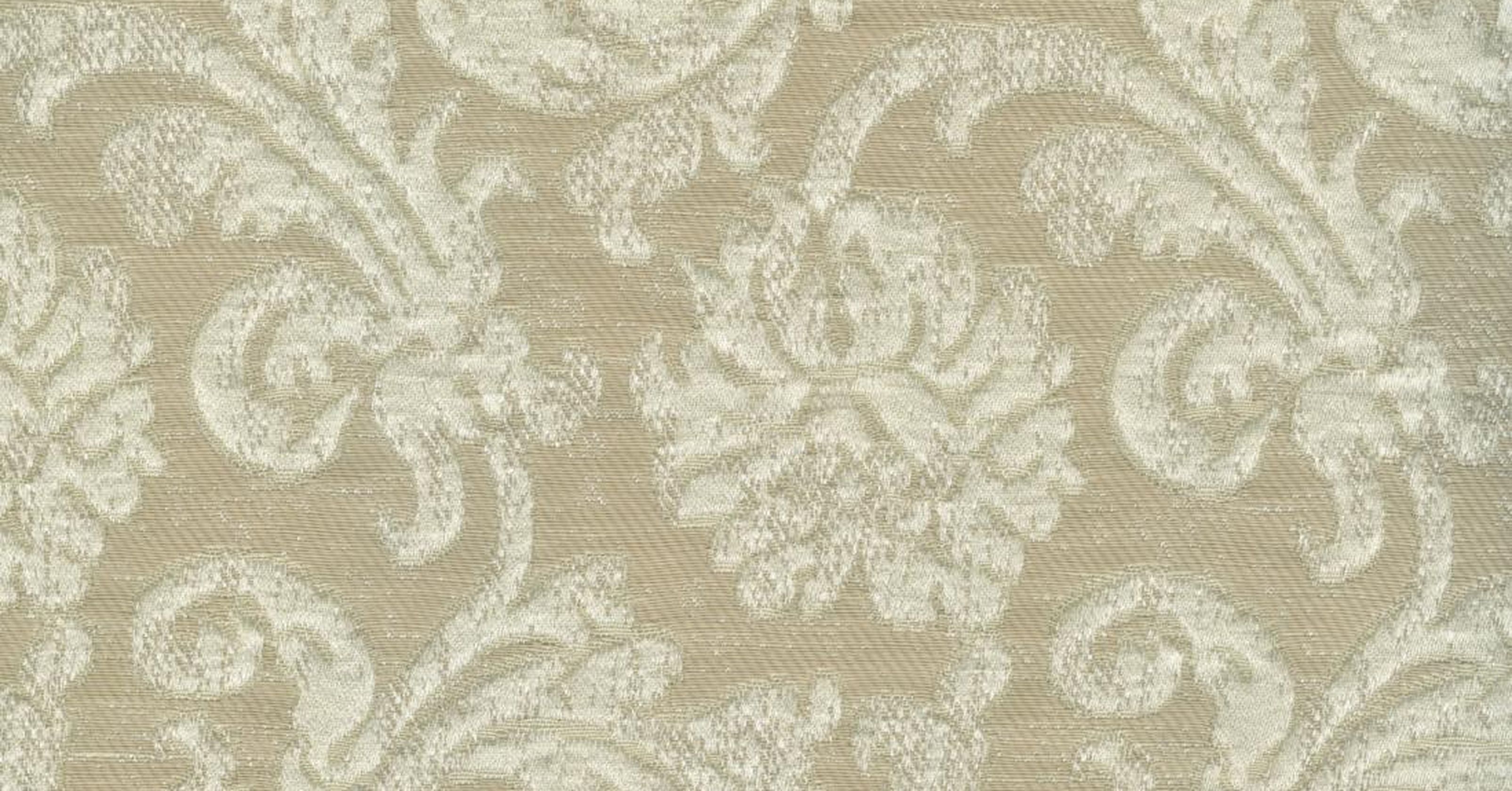 Semper Augustus - avorio