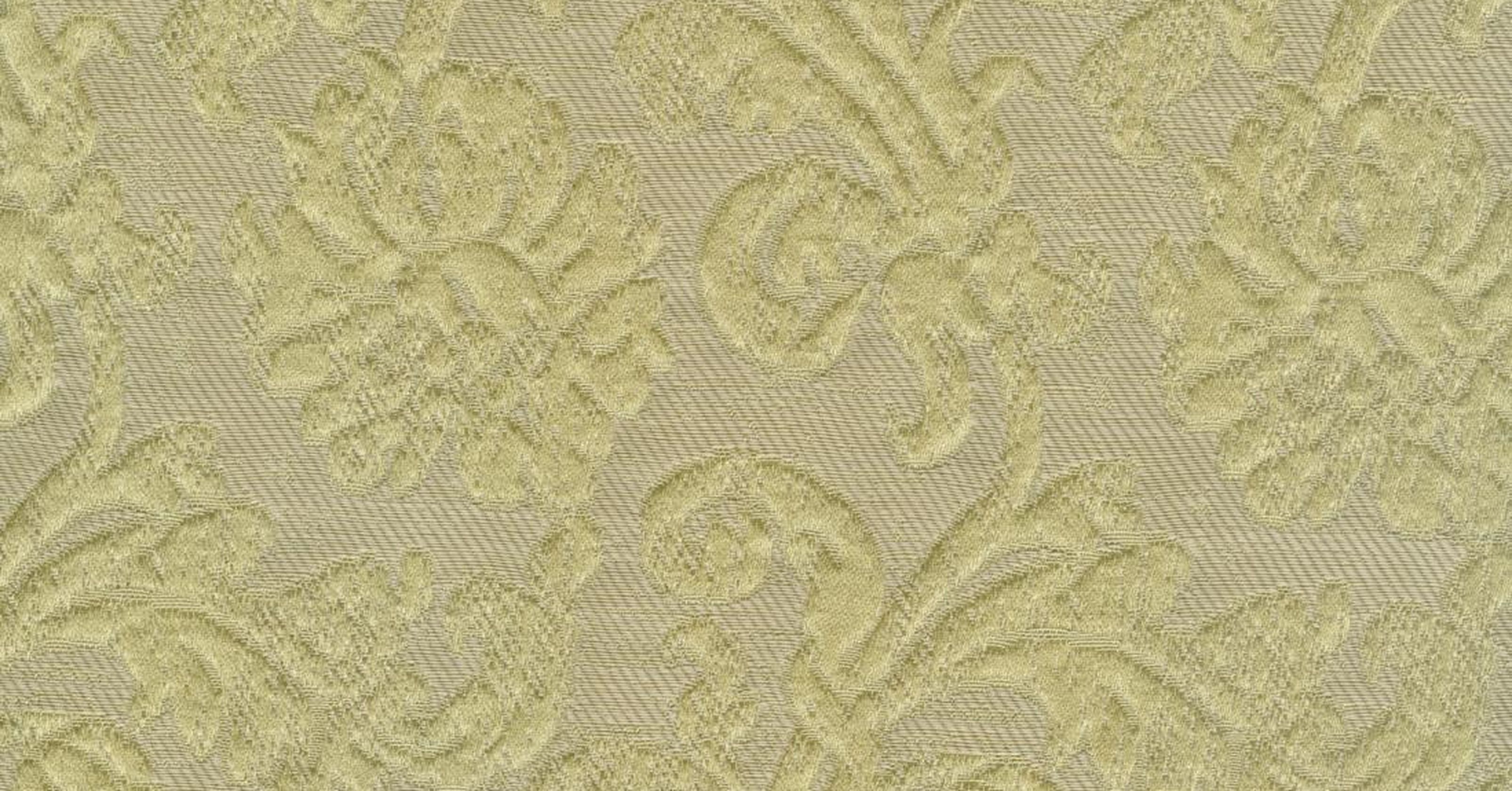 Semper Augustus - tiglio