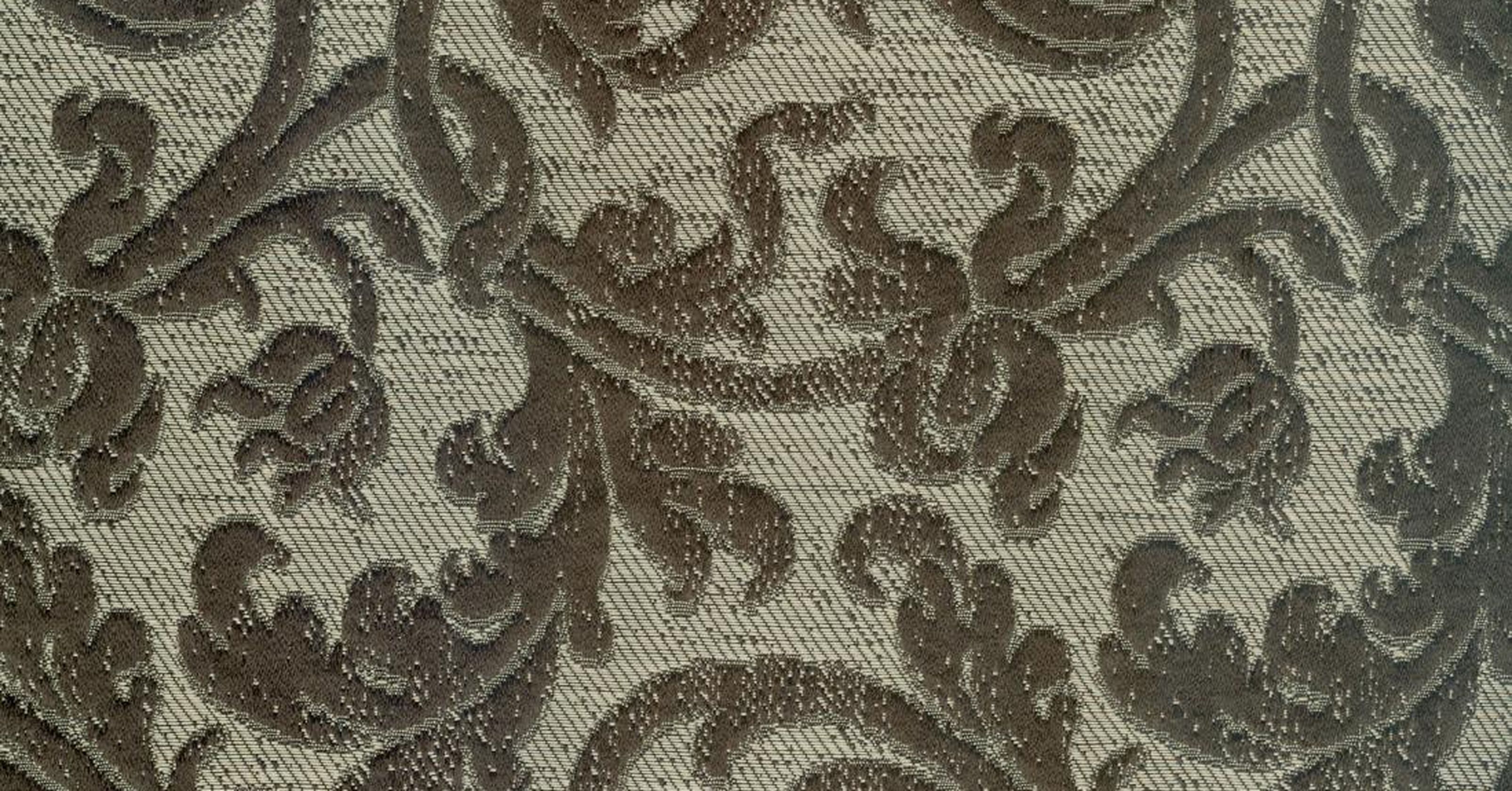 Semper Augustus - moro