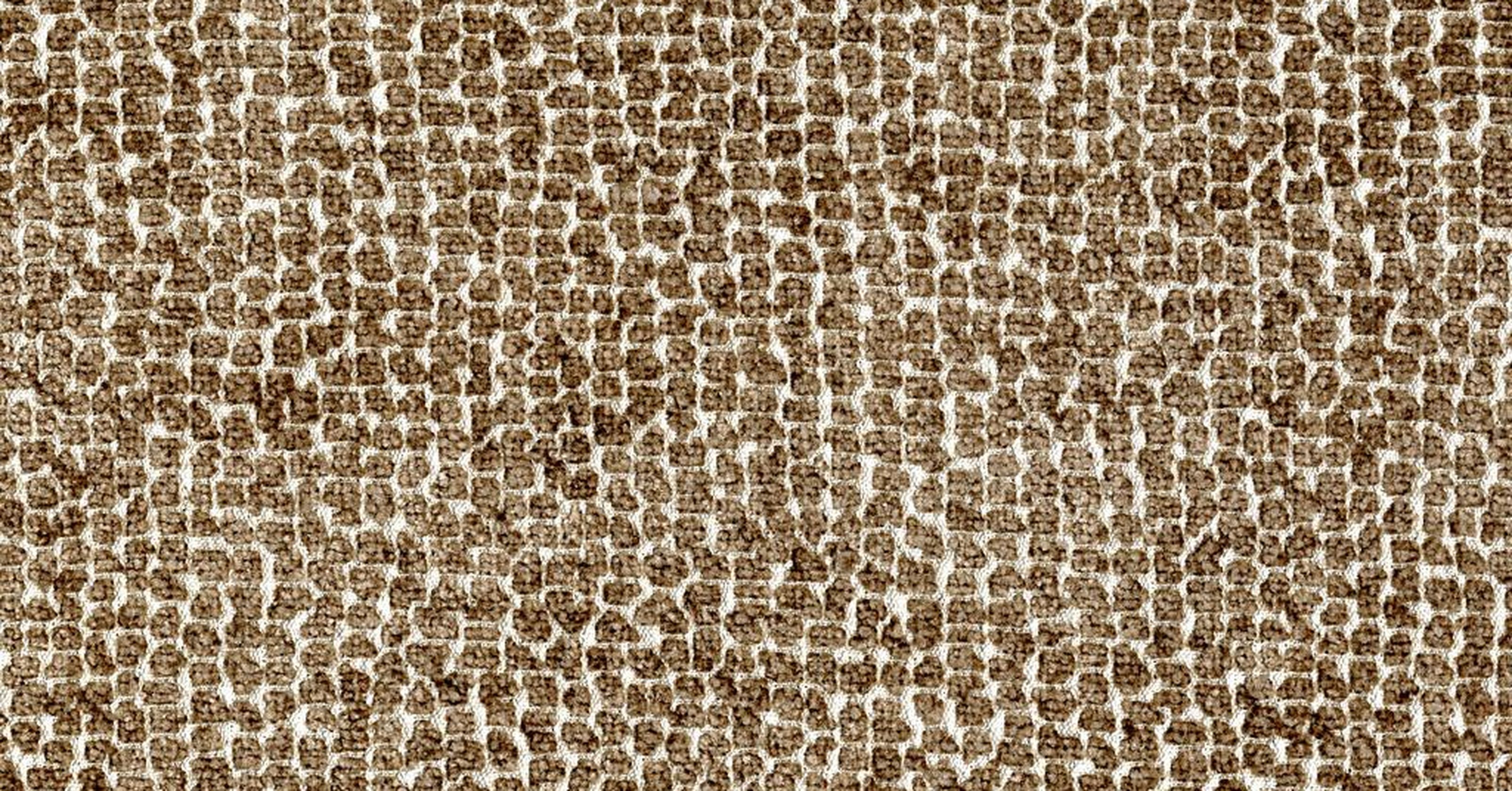 Sun Bear - sabbia reversible