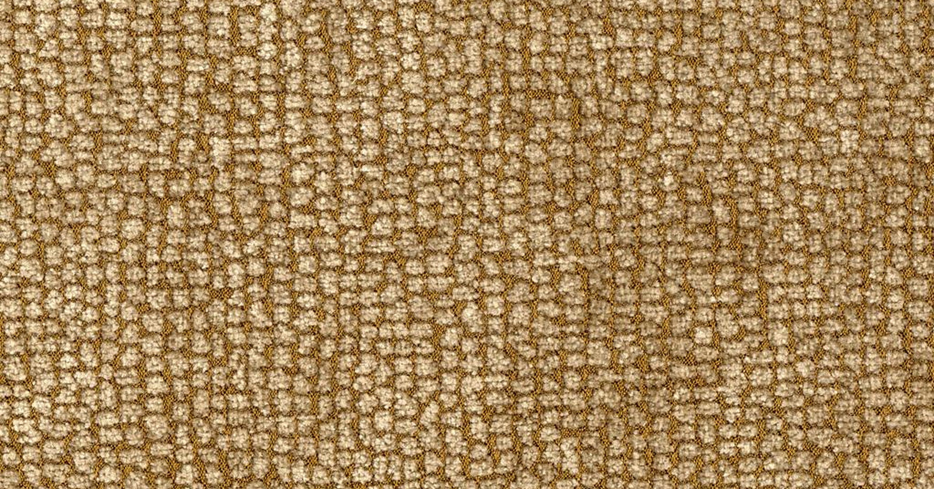 Sun Bear - visone reversible