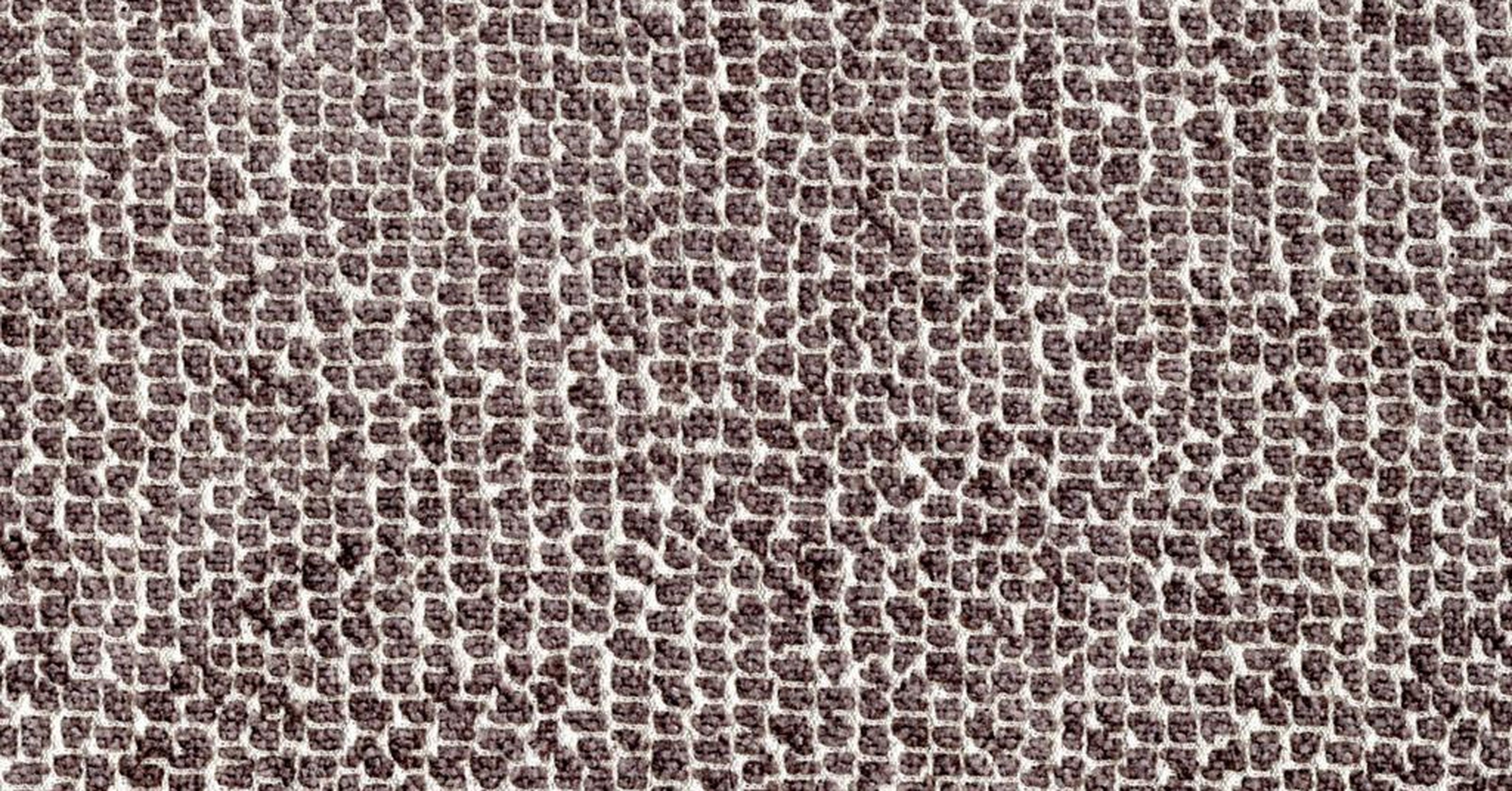 Sun Bear - argento reversible