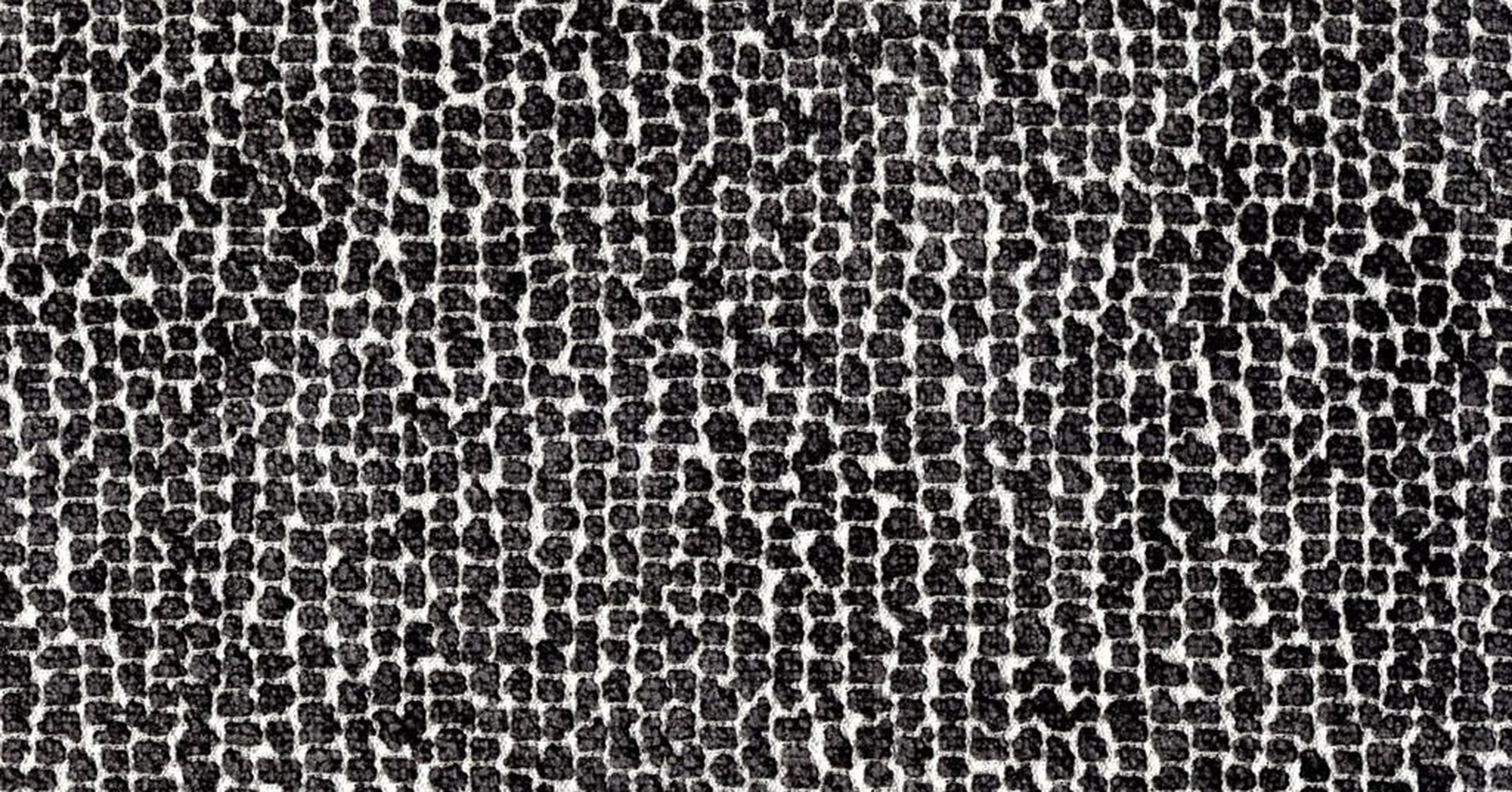 Sun Bear - grigio reversible