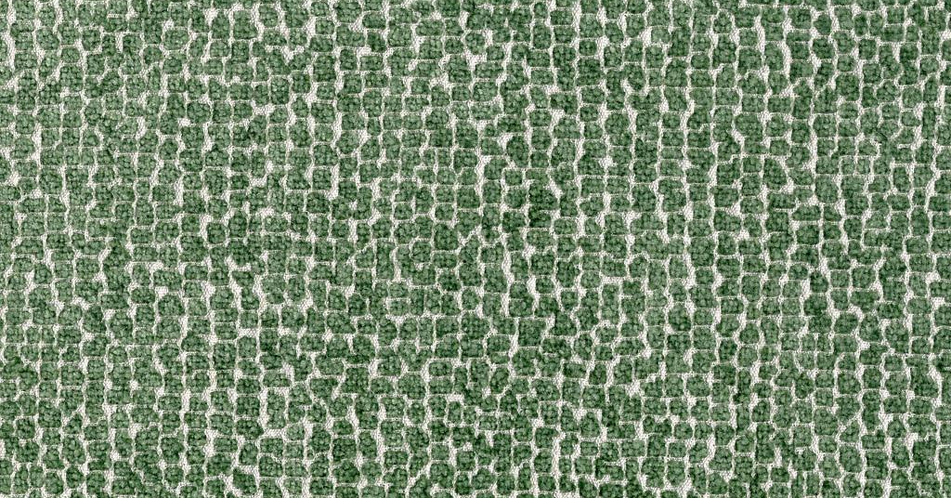 Sun Bear - celadon reversible