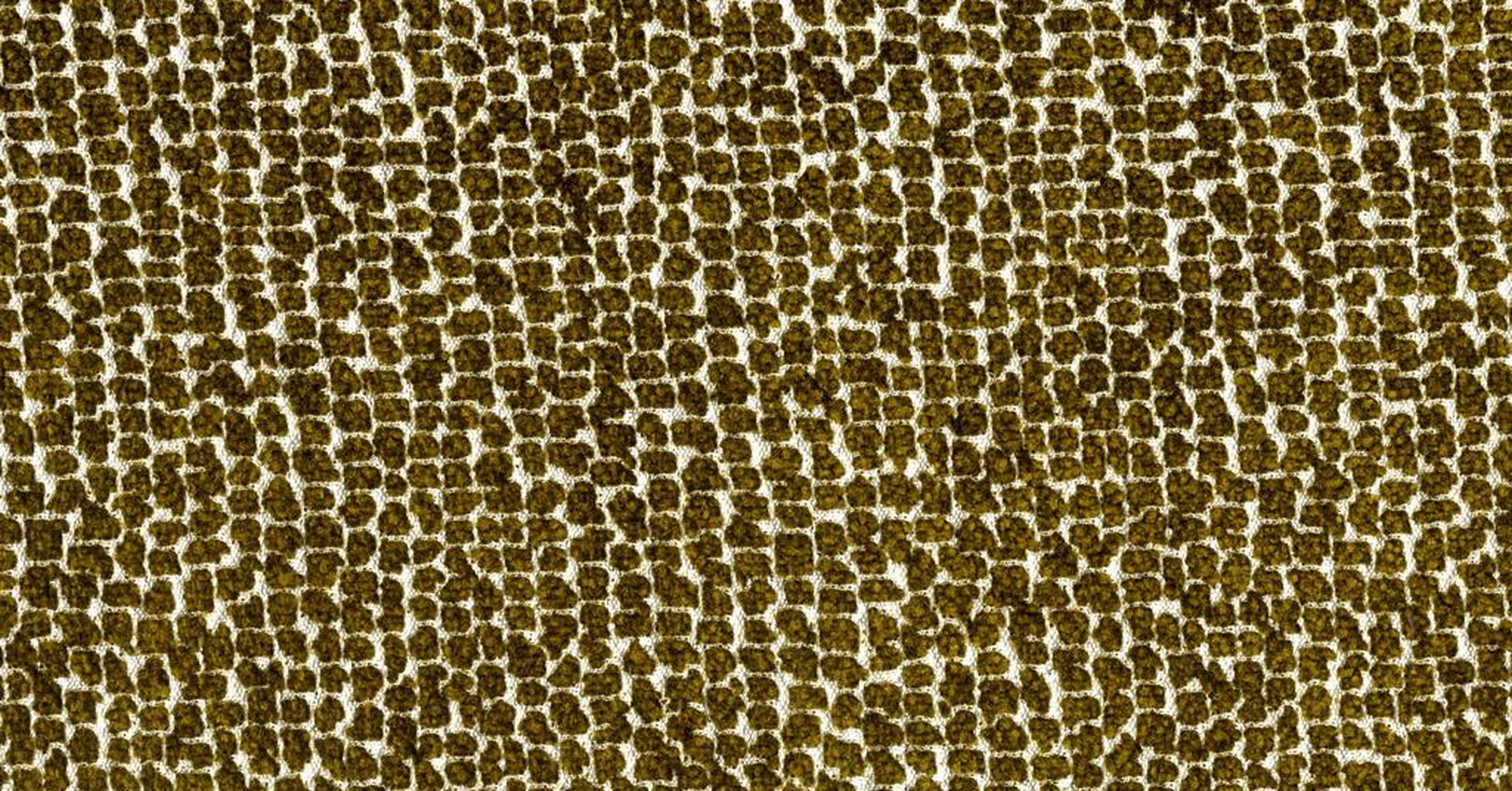 Sun Bear - bronzo reversible