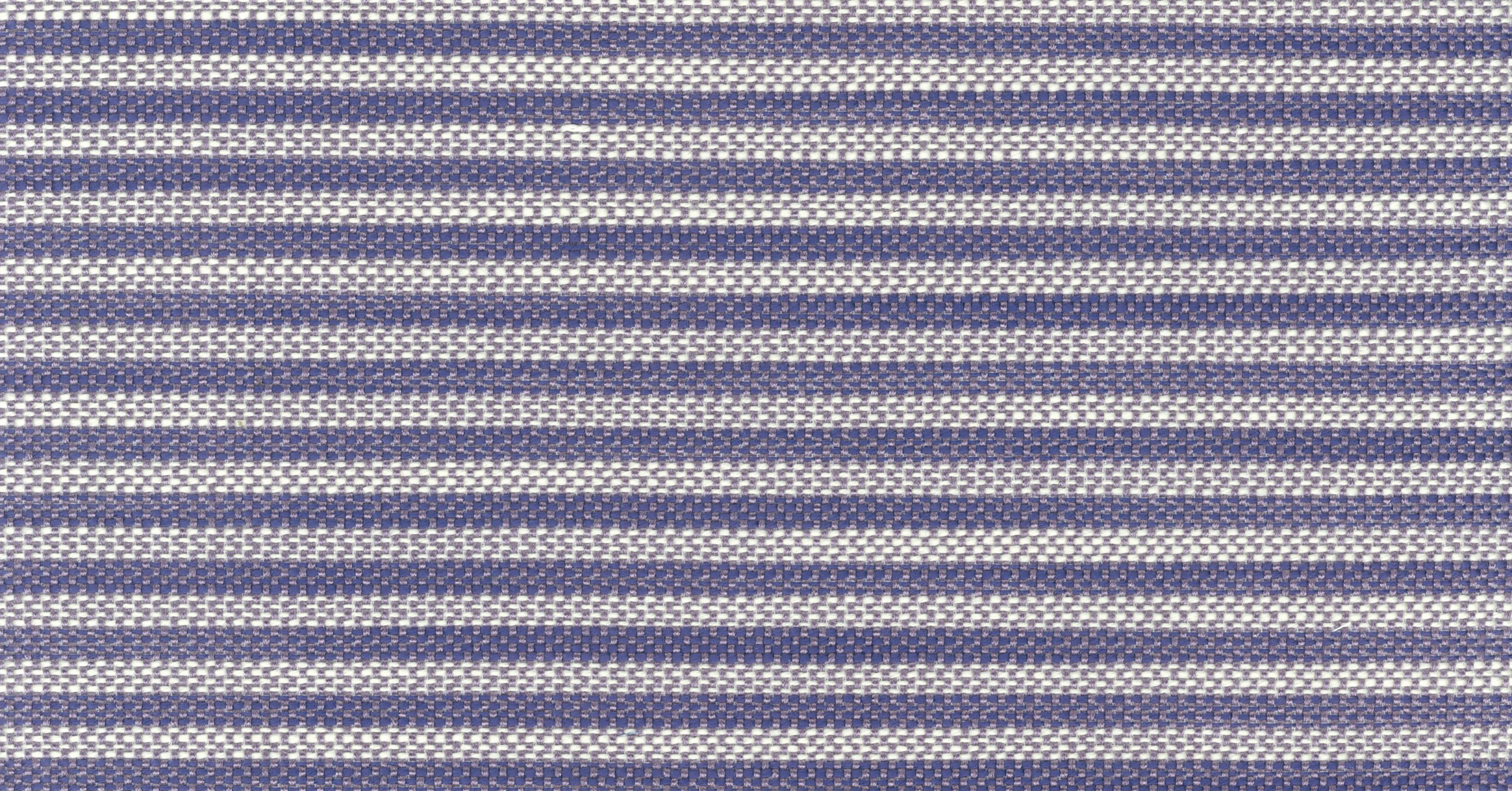 Tenstripe - pervinca