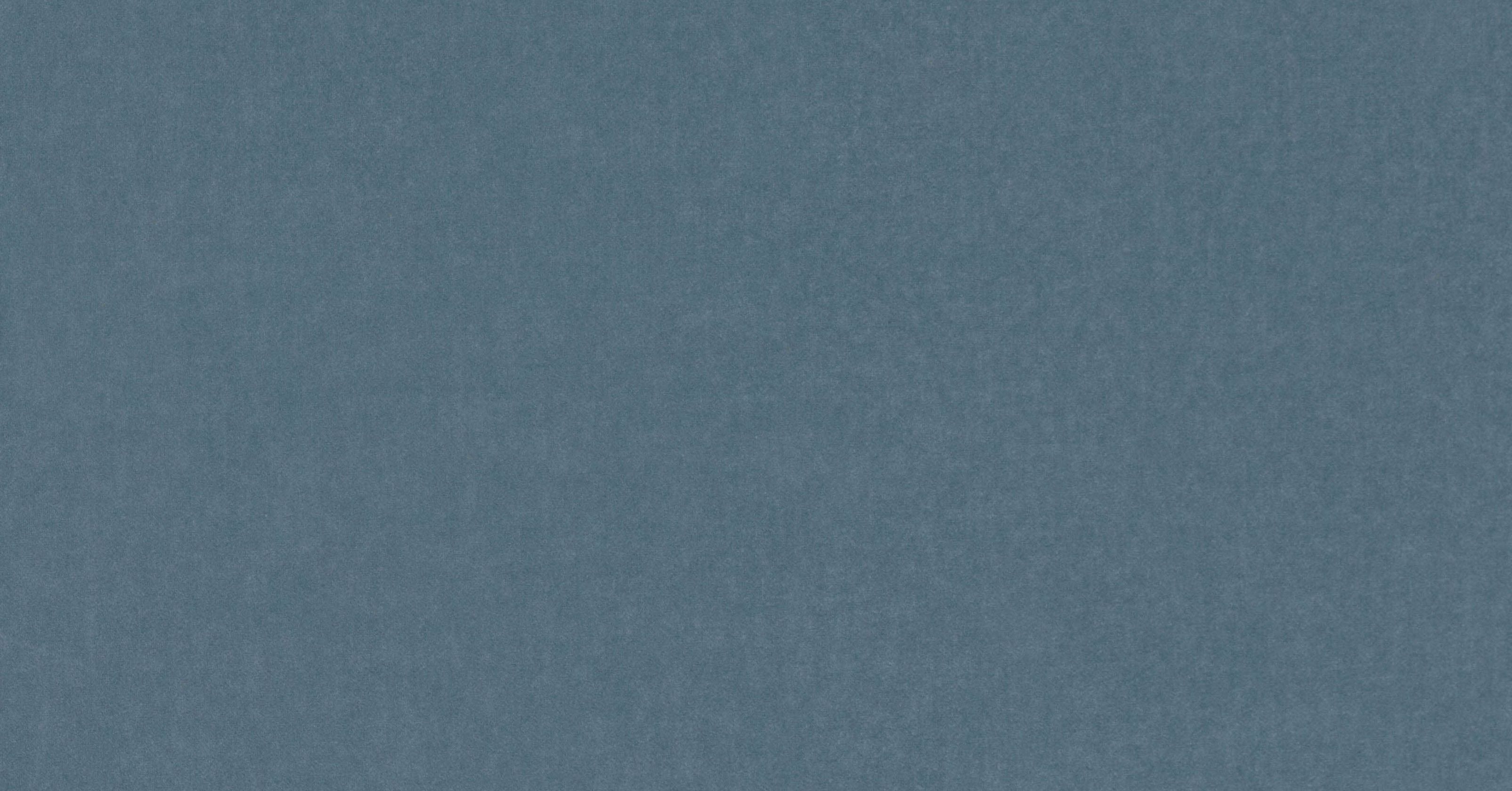 Barcelona - porpoise