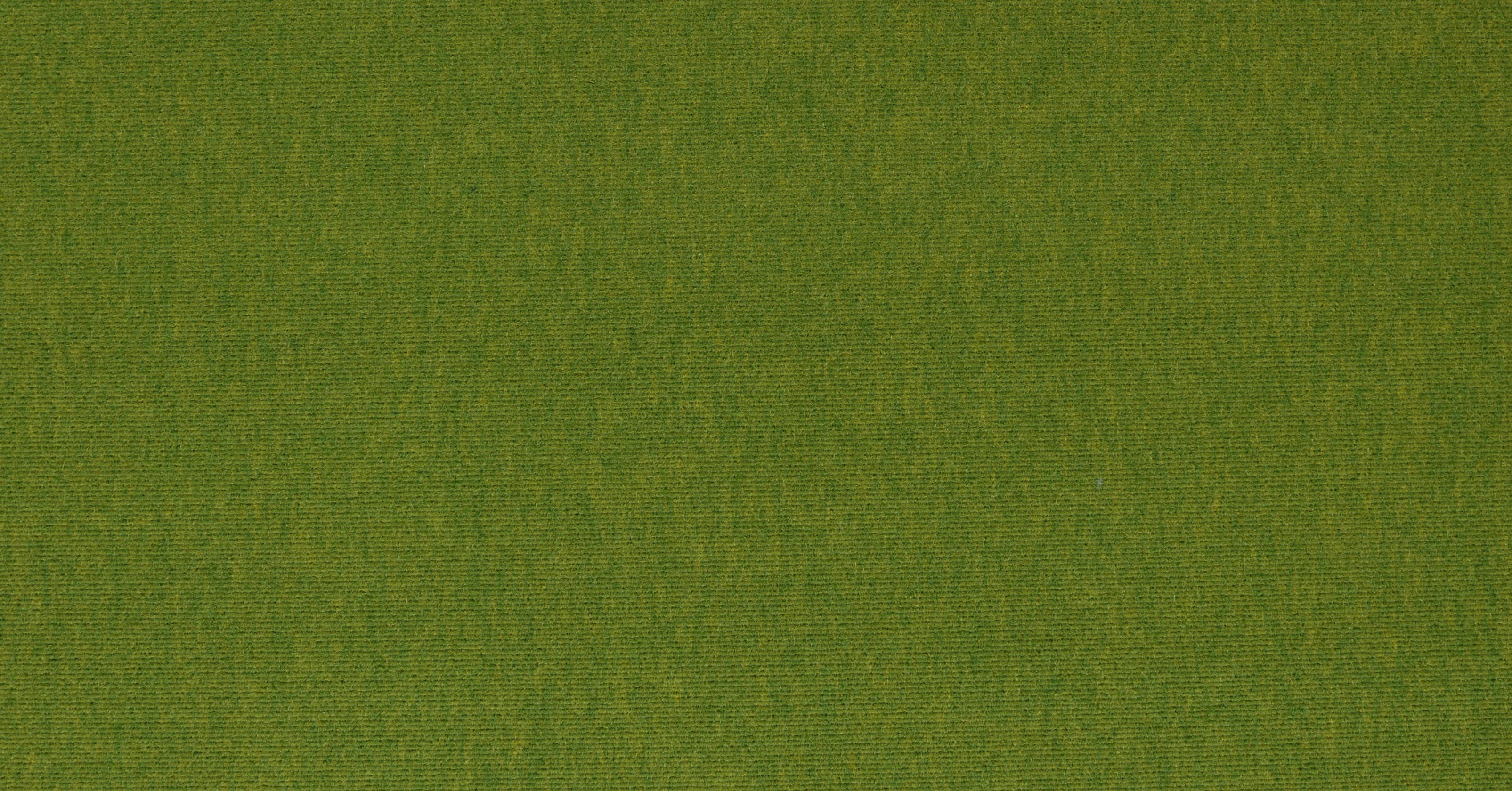 Búzios Outdoor - Iguana