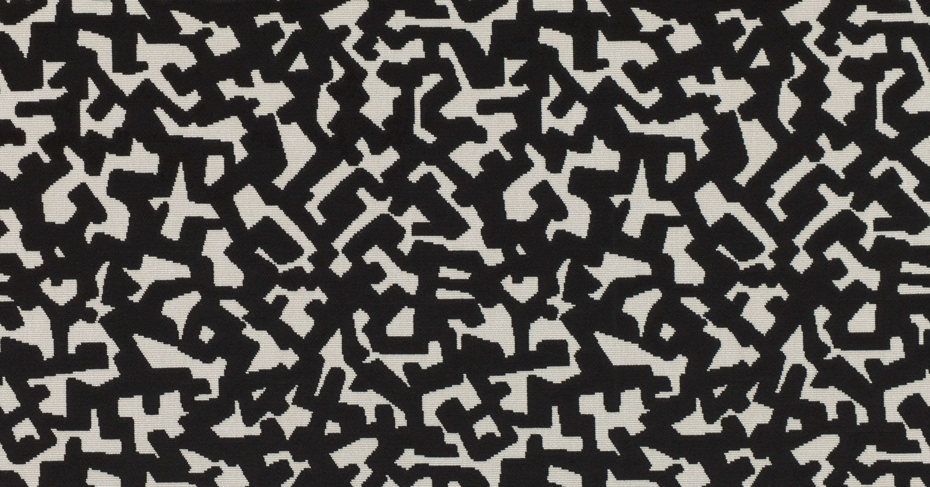 Bertrand - dalmatian