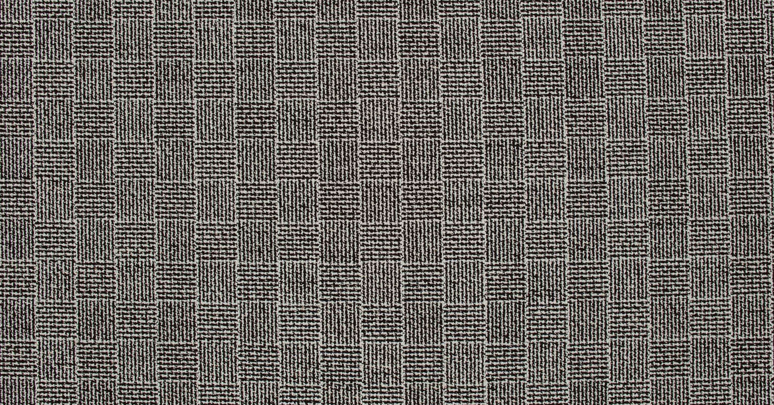 Lagrange - dalmatian