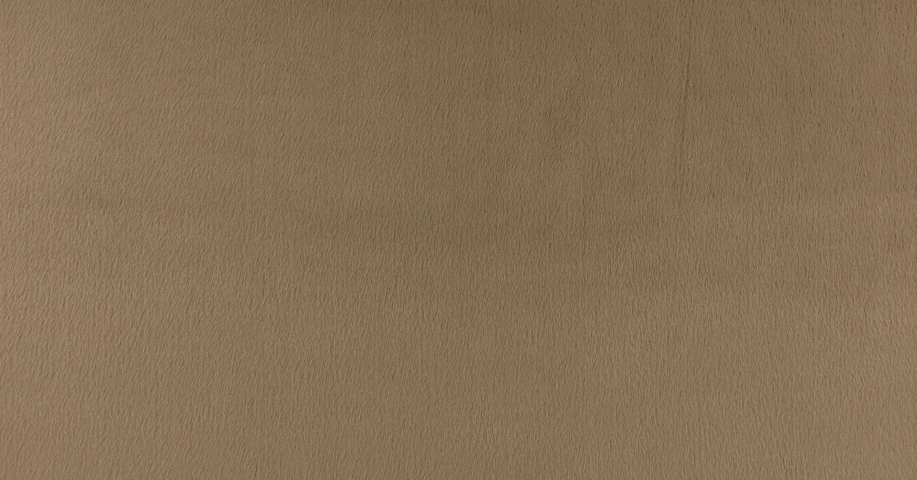 Benjamin - driftwood