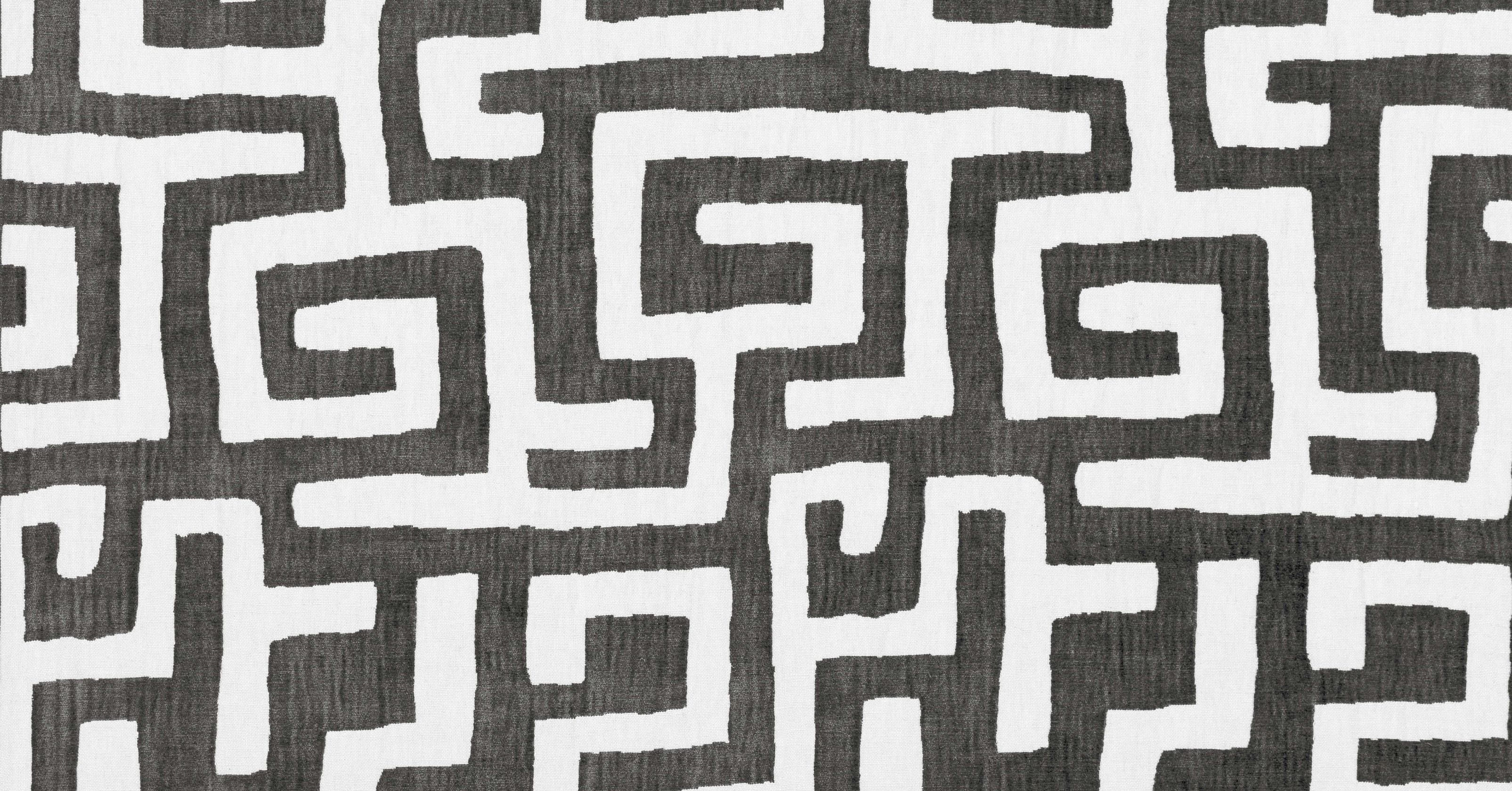 Kuba Cay - dalmatian