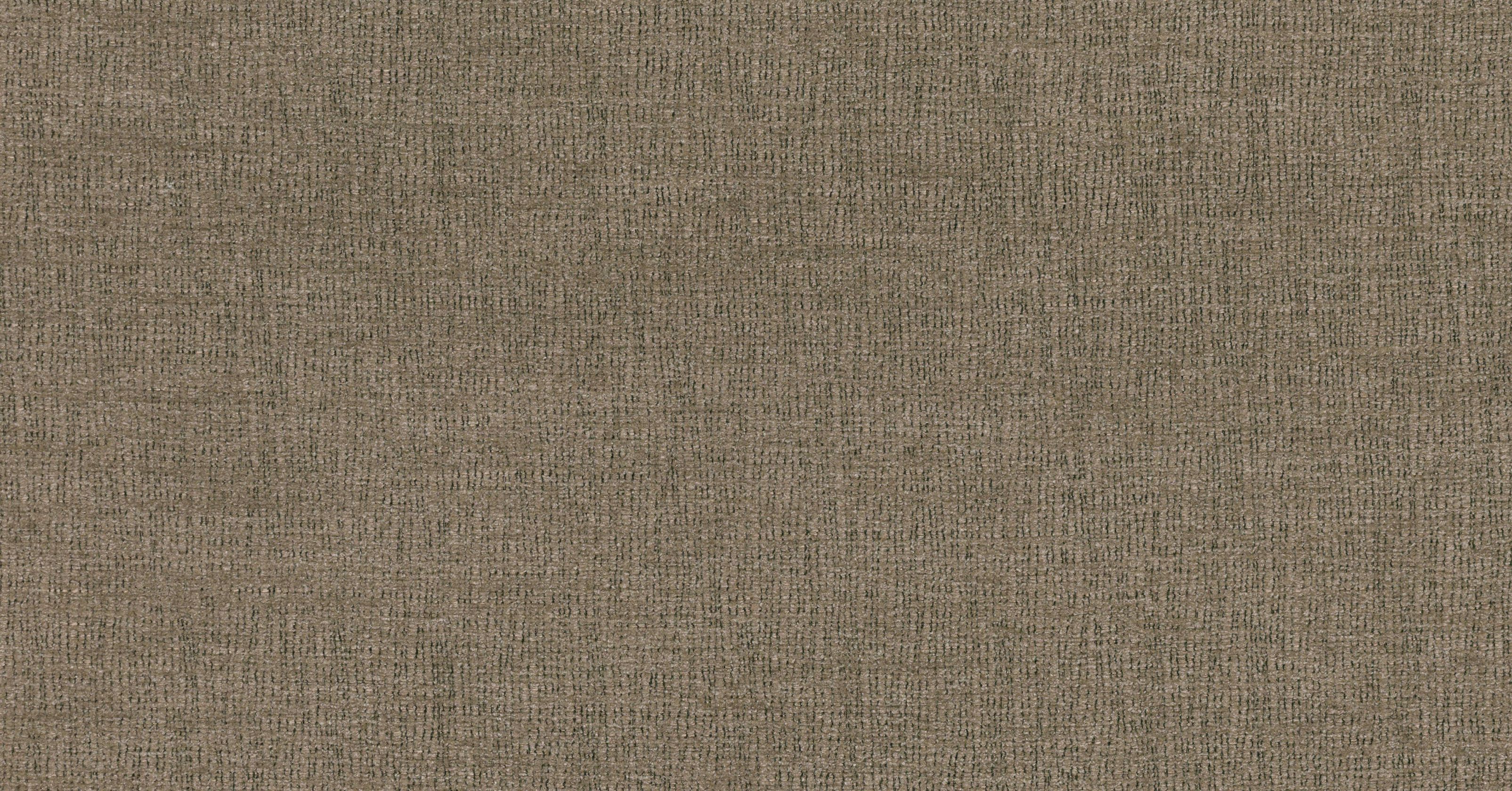 Conchiglia - driftwood