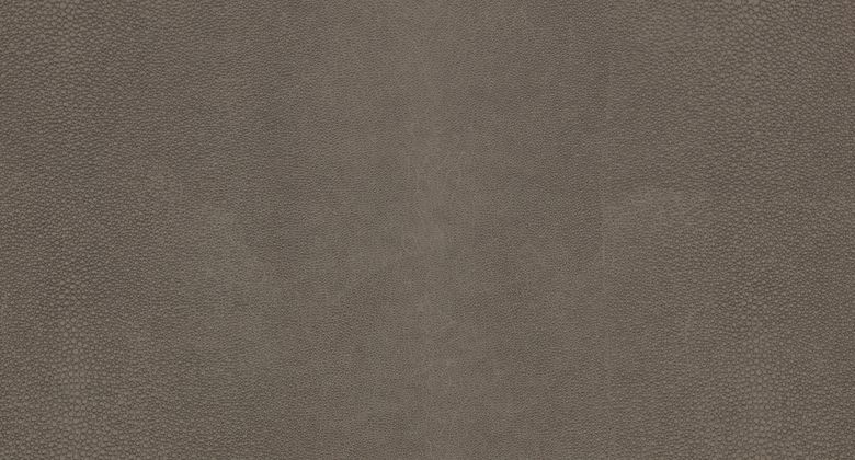 KIRKBY DESIGN Shagreen Palladium (K5357/03)