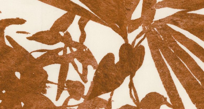 RUBELLI Home Jungle Cotto (30409-003)