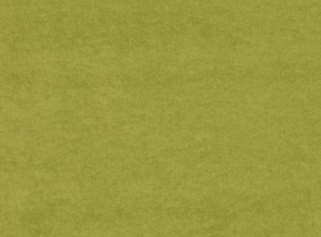 KIRKBY DESIGN - Crush 2 - Crush 2 - Cactus - K5033/156