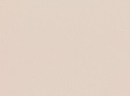 MARK ALEXANDER - Timeless plains - Town - Fossil - M407/15